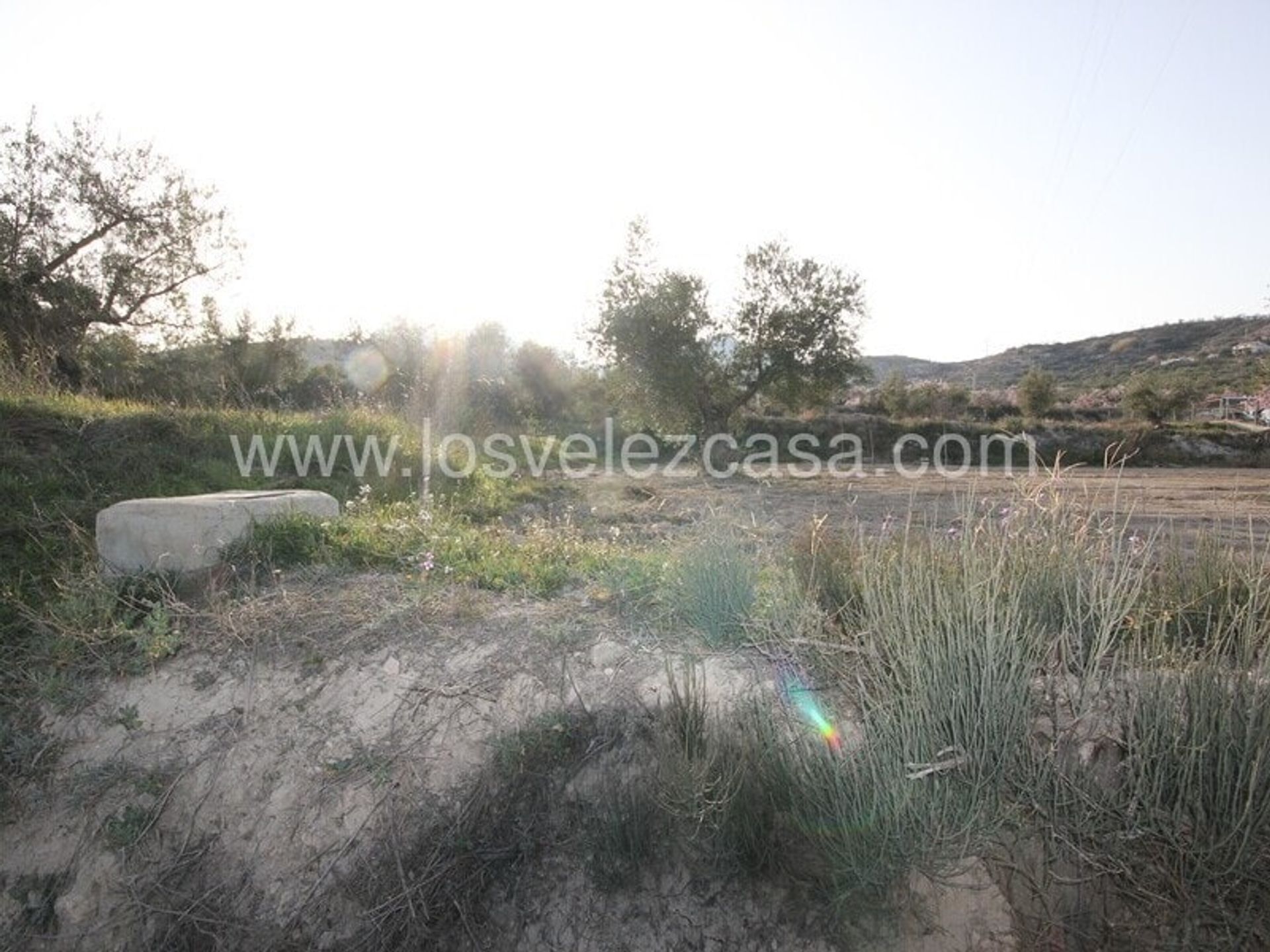 Land i Velez Blanco, Andalusia 10878325