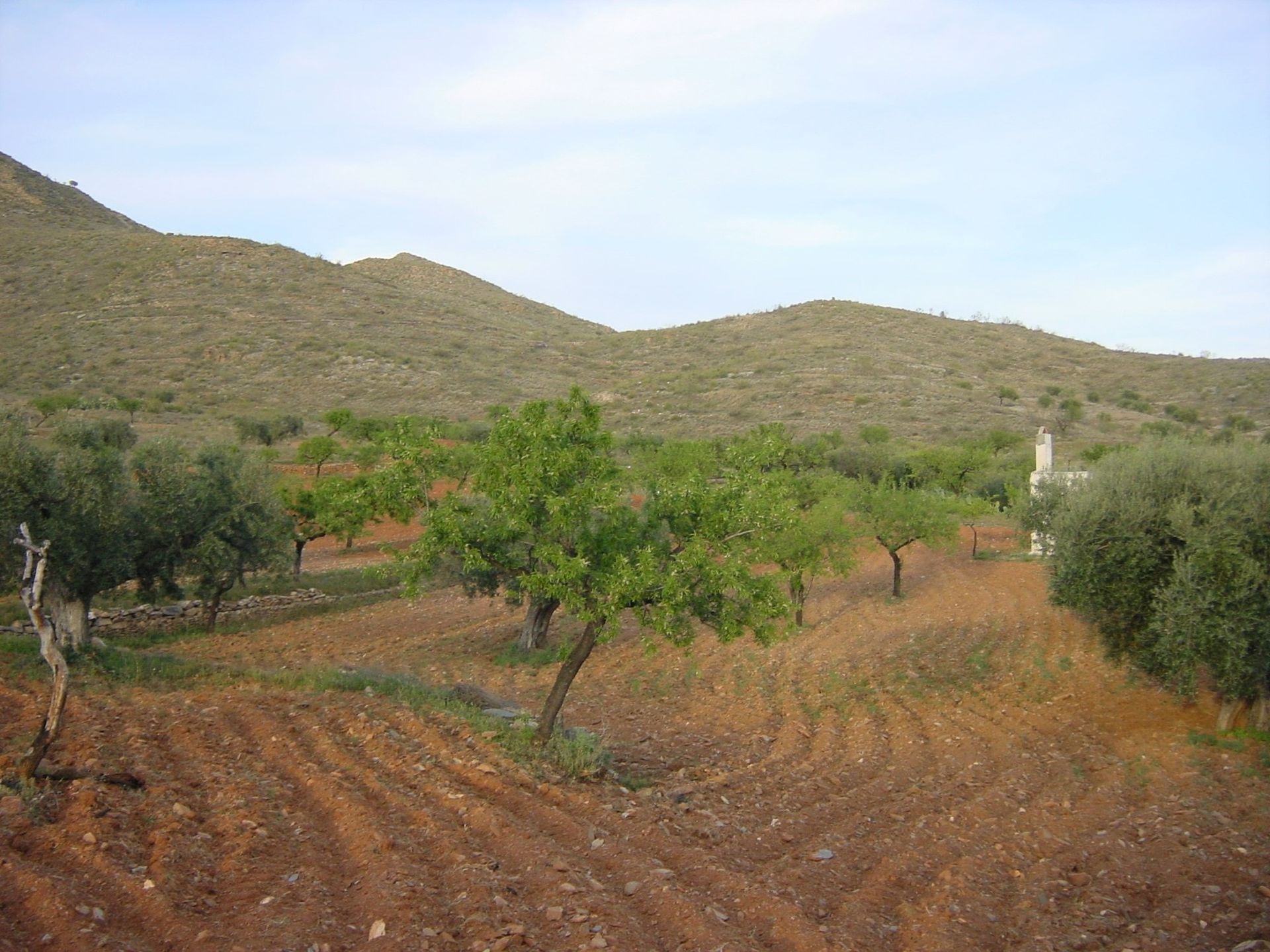 Jord i Uleila del Campo, Andalusien 10878352