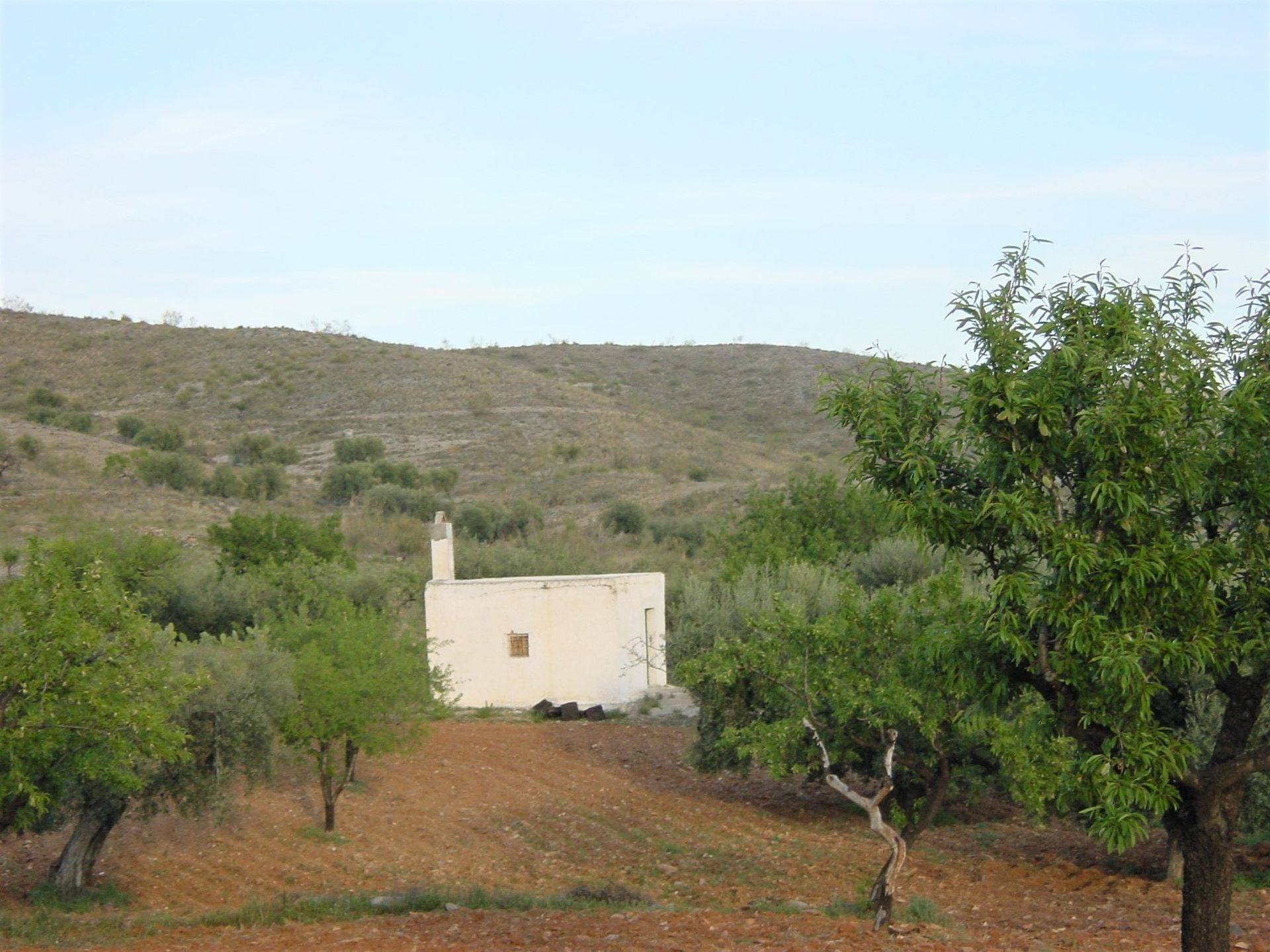 Γη σε Ουλέιλα ντελ Κάμπο, Ανδαλουσία 10878352