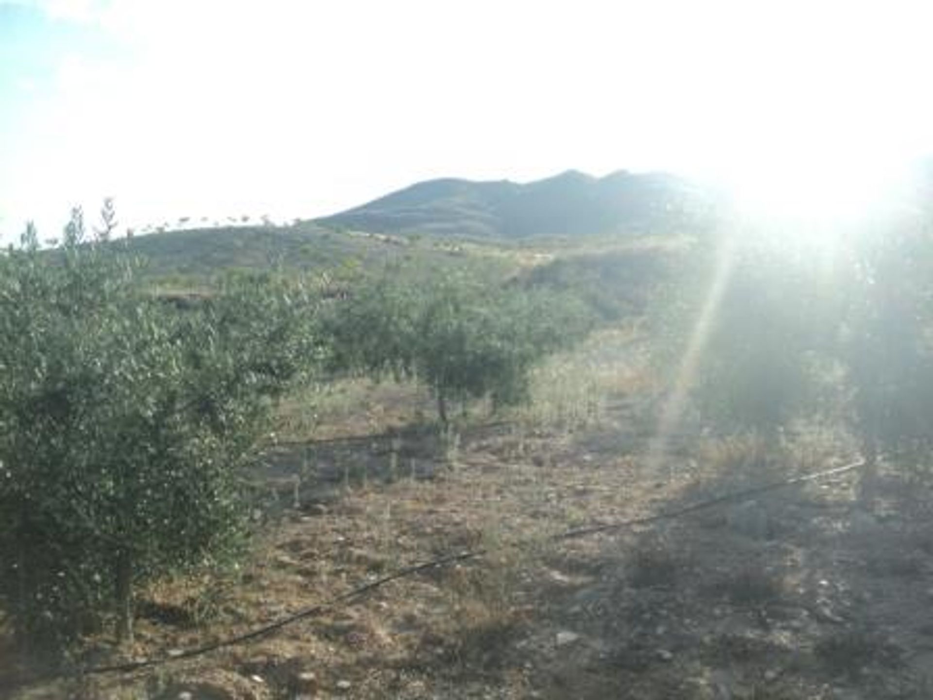 Βιομηχανικός σε Sorbas, Andalucía 10878354