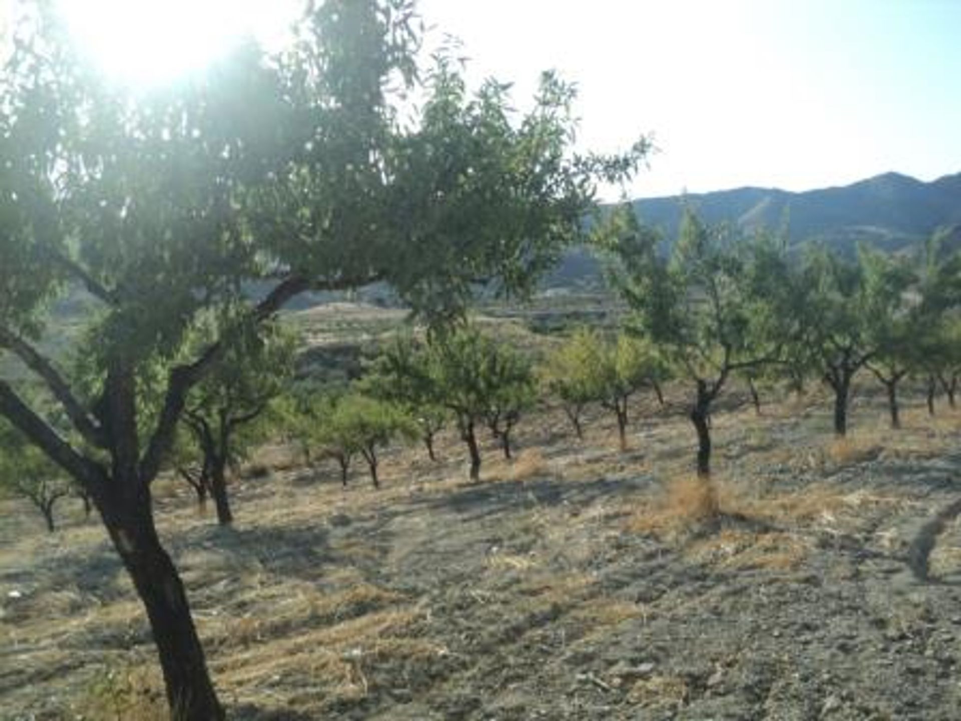 Βιομηχανικός σε Sorbas, Andalucía 10878354