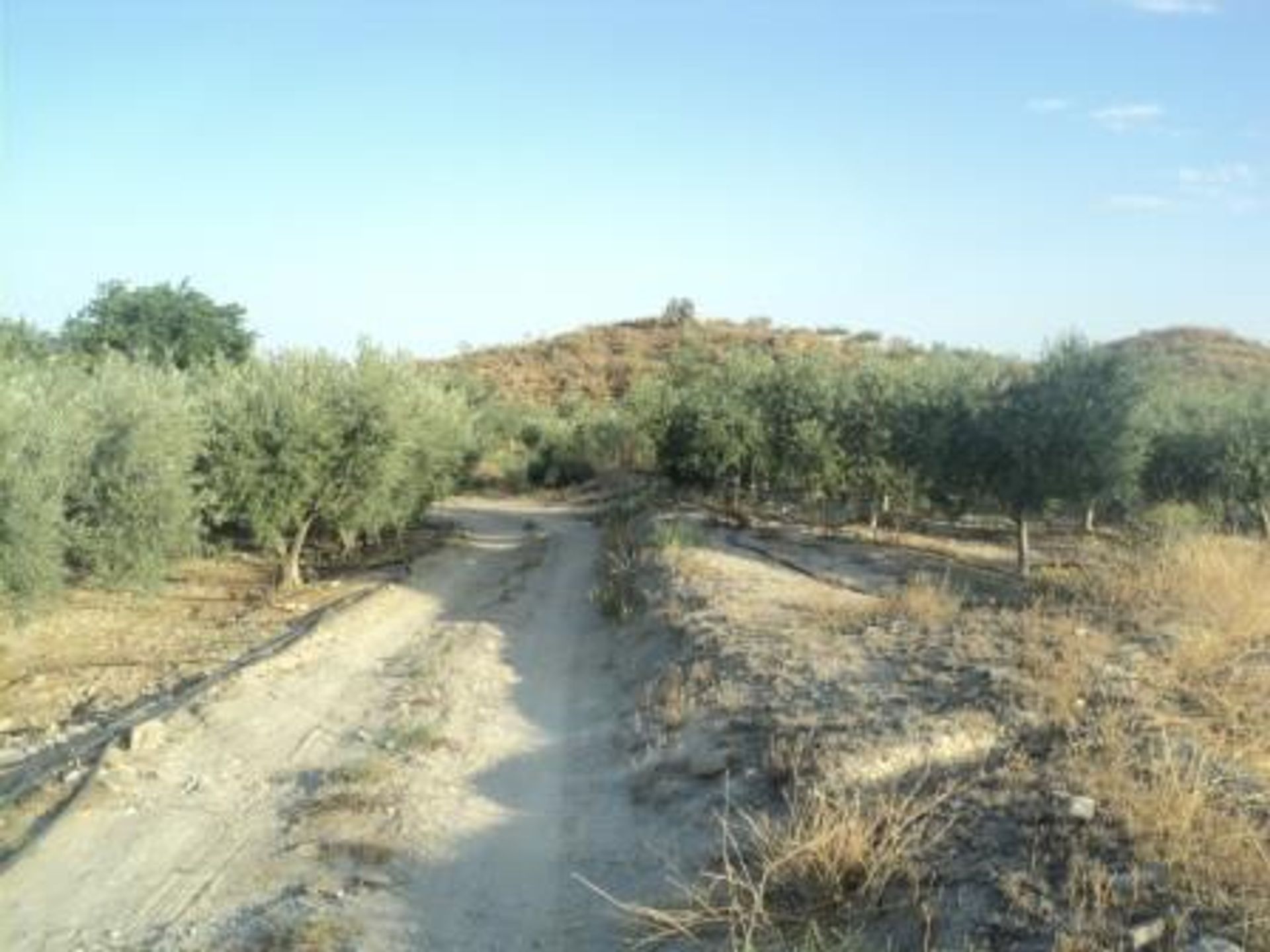 Βιομηχανικός σε Sorbas, Andalucía 10878354