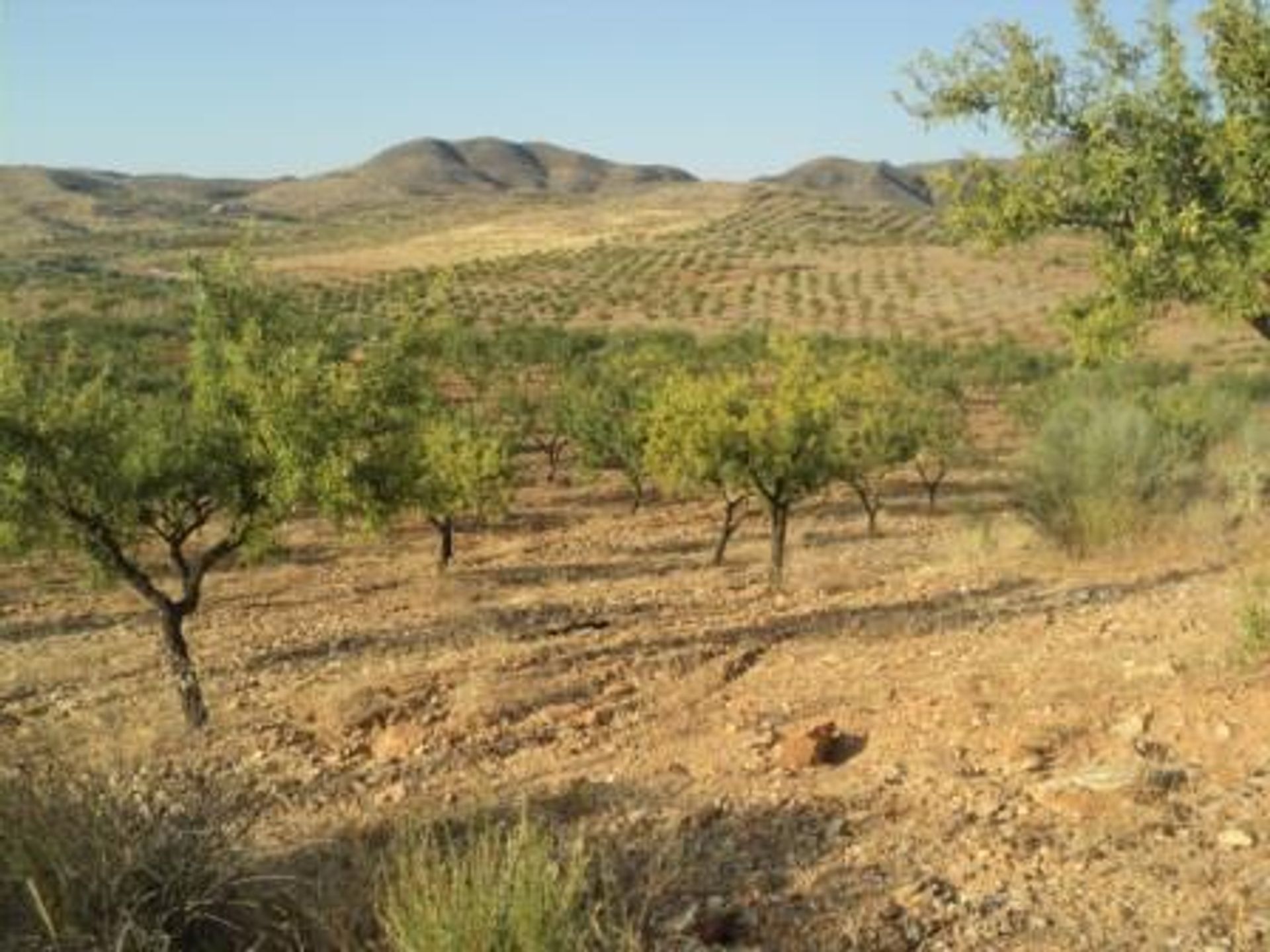 Βιομηχανικός σε Sorbas, Andalucía 10878354