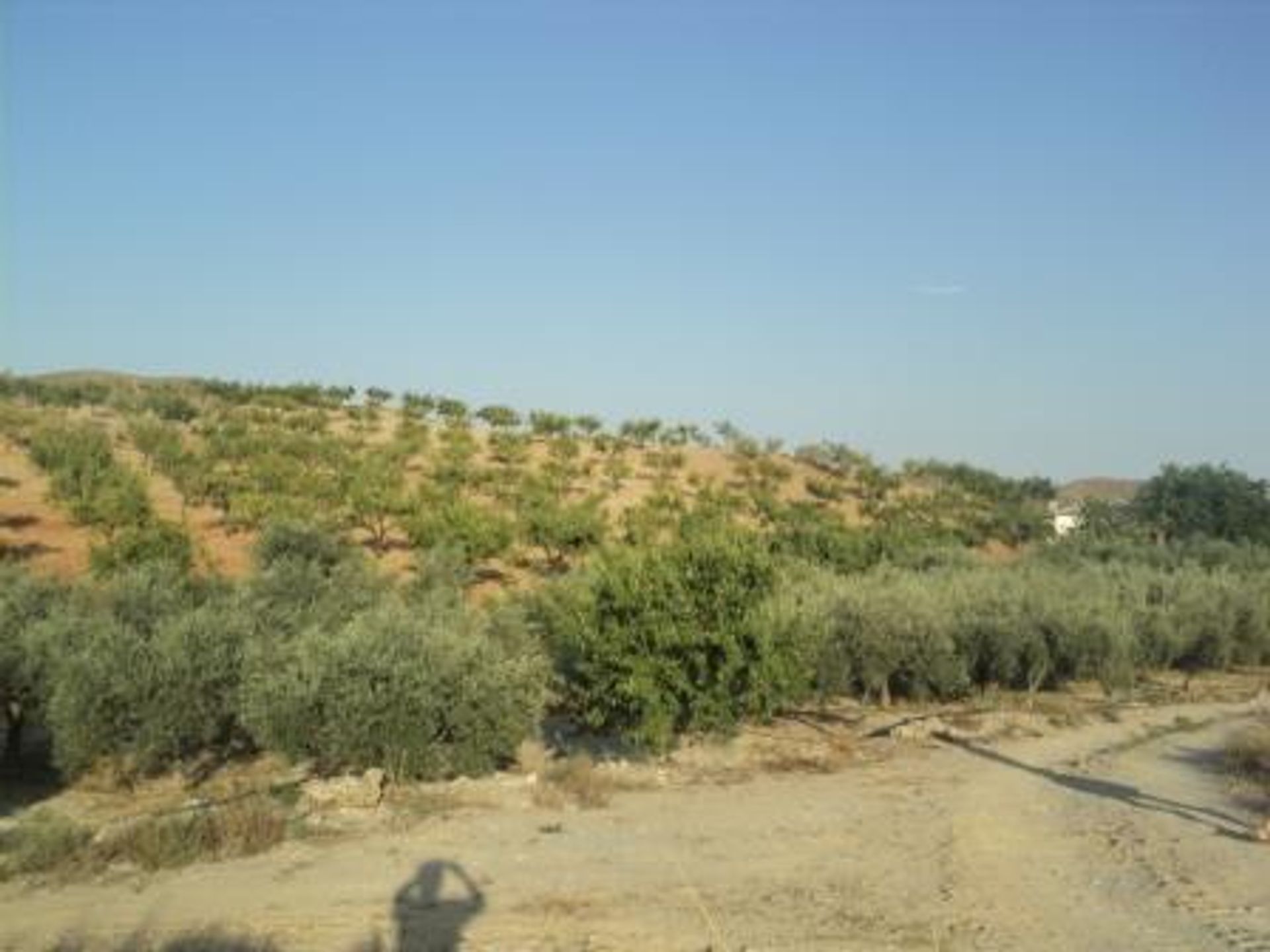 Βιομηχανικός σε Sorbas, Andalucía 10878354