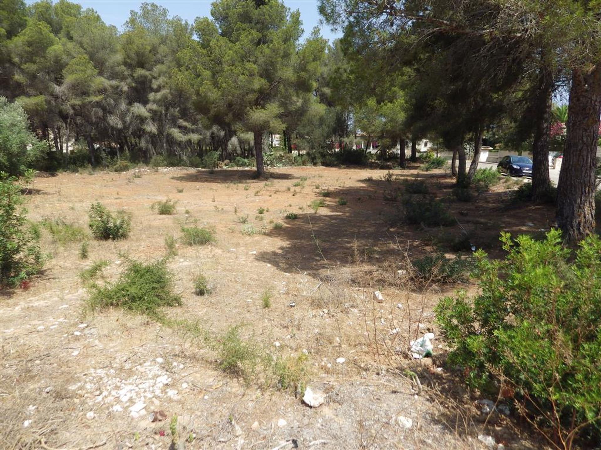 Land im Javea, Valencia 10878450