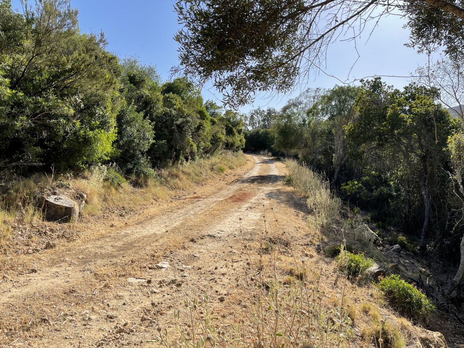 Dom w Castellar de la Frontera, Andalucía 10878476