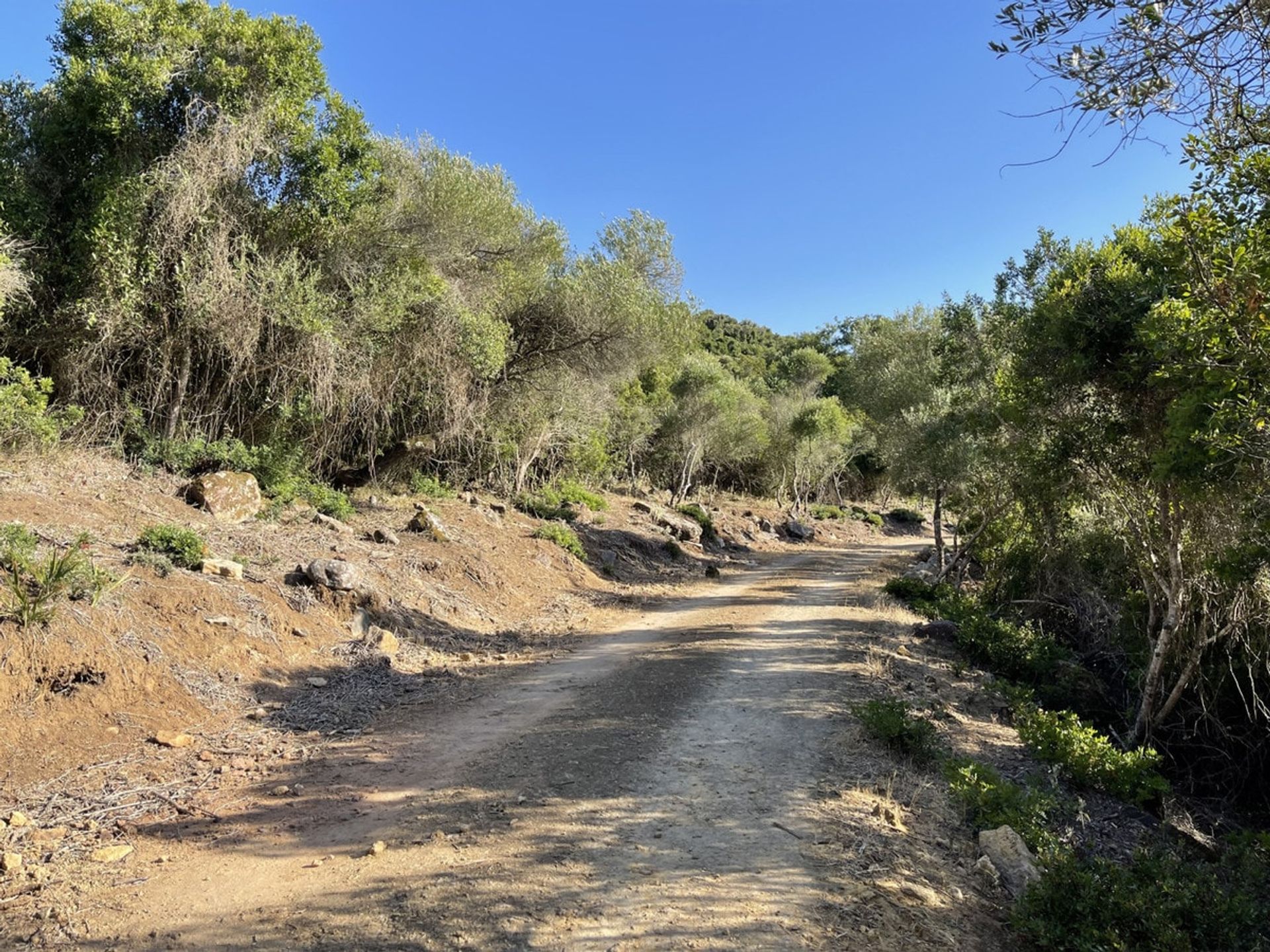 Dom w Castellar de la Frontera, Andalucía 10878476