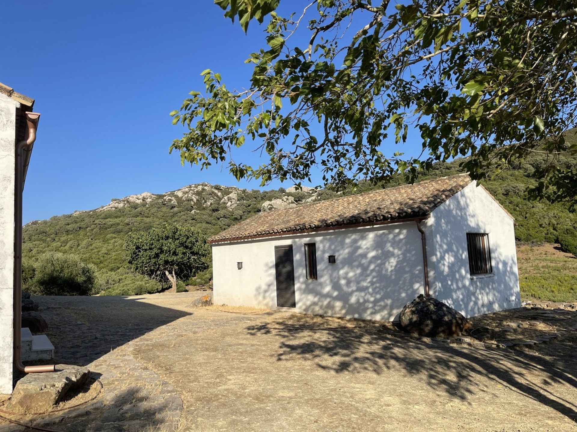 Dom w Castellar de la Frontera, Andalucía 10878476