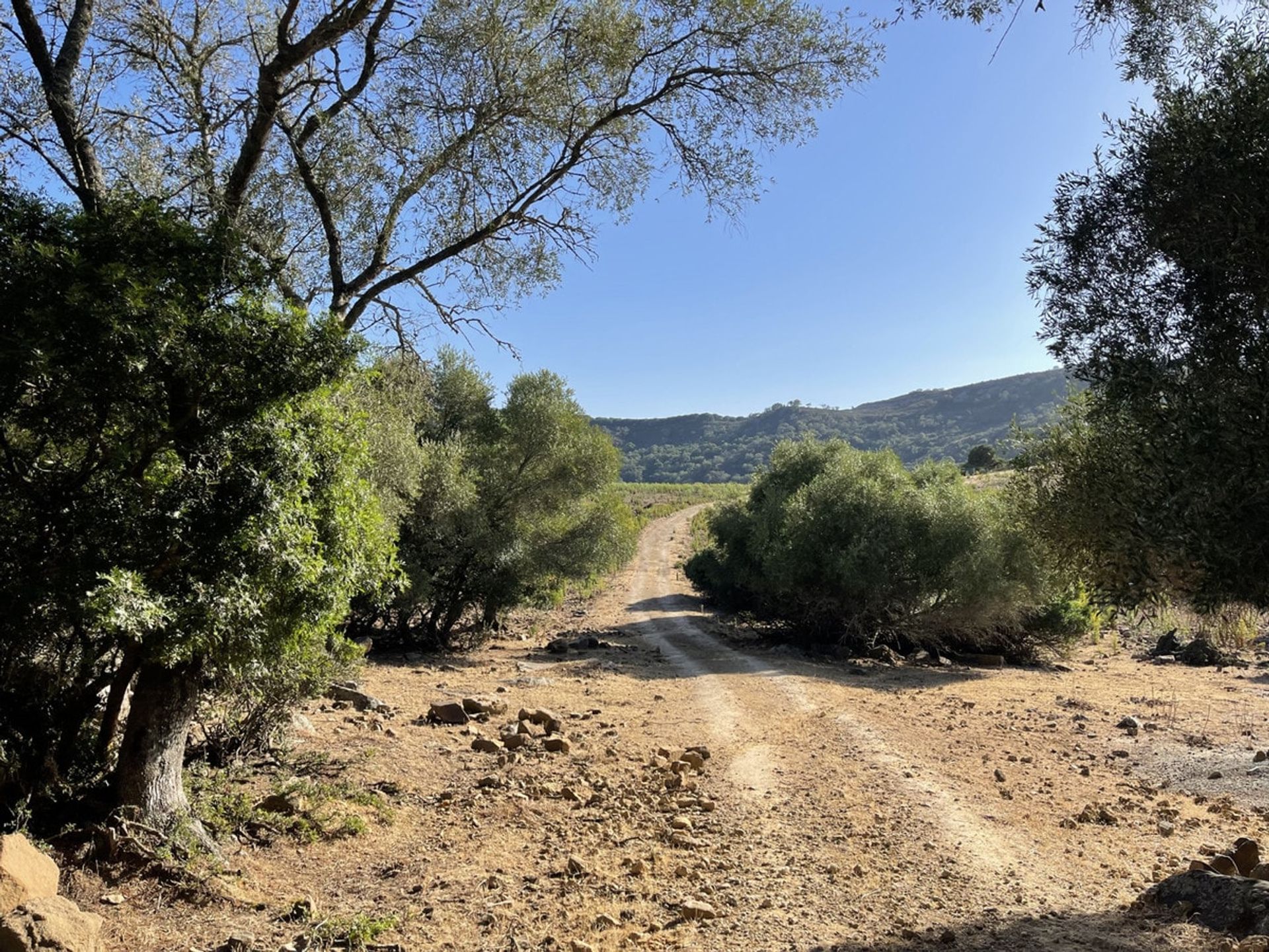 Dom w Castellar de la Frontera, Andalucía 10878476