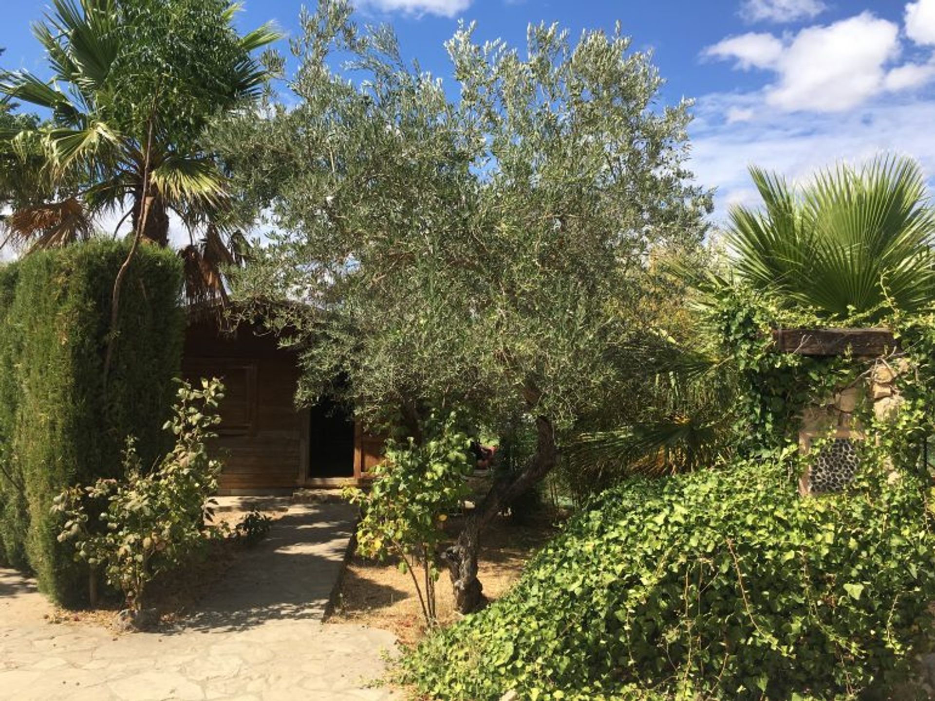 Huis in Arriate, Andalusië 10878797