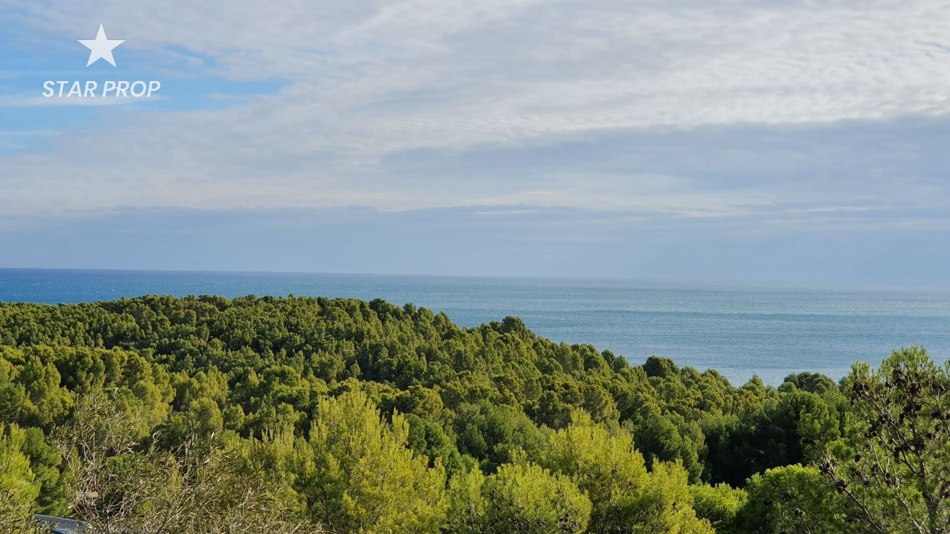 Terra no El Porto, Catalunha 10878951