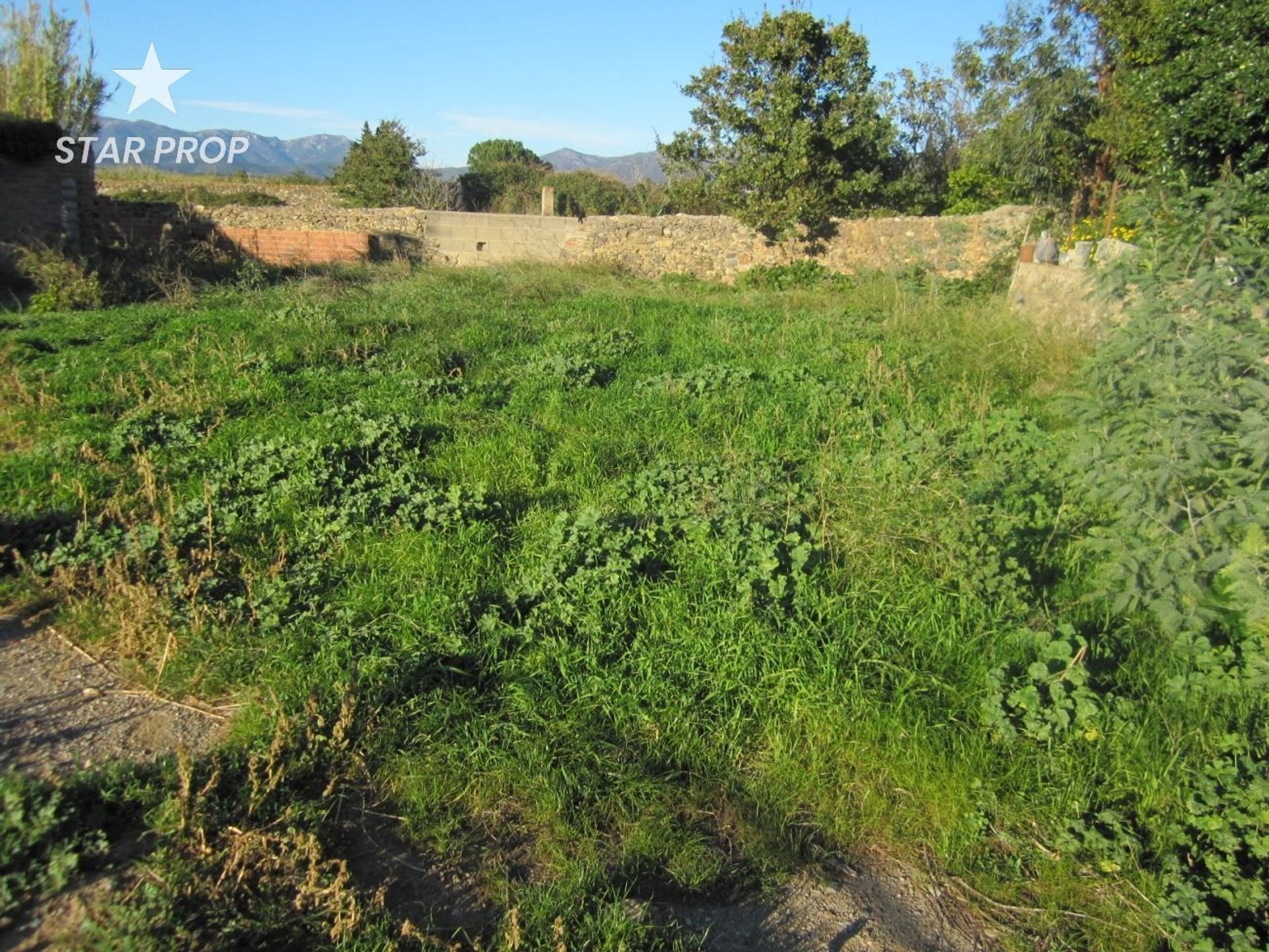 Land in Garriguella, Catalonië 10878977