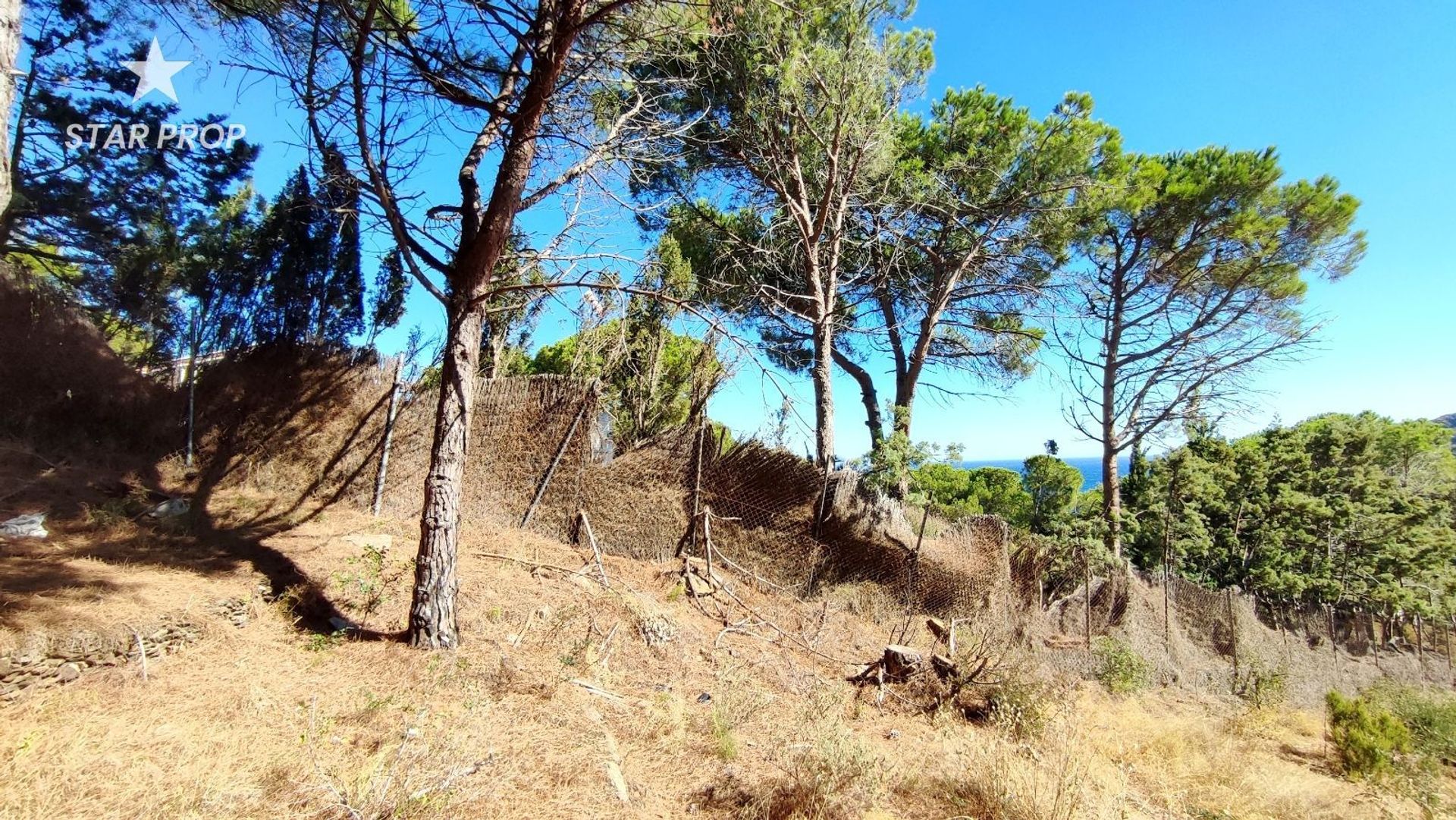 الأرض في El Port de la Selva, Catalunya 10879029