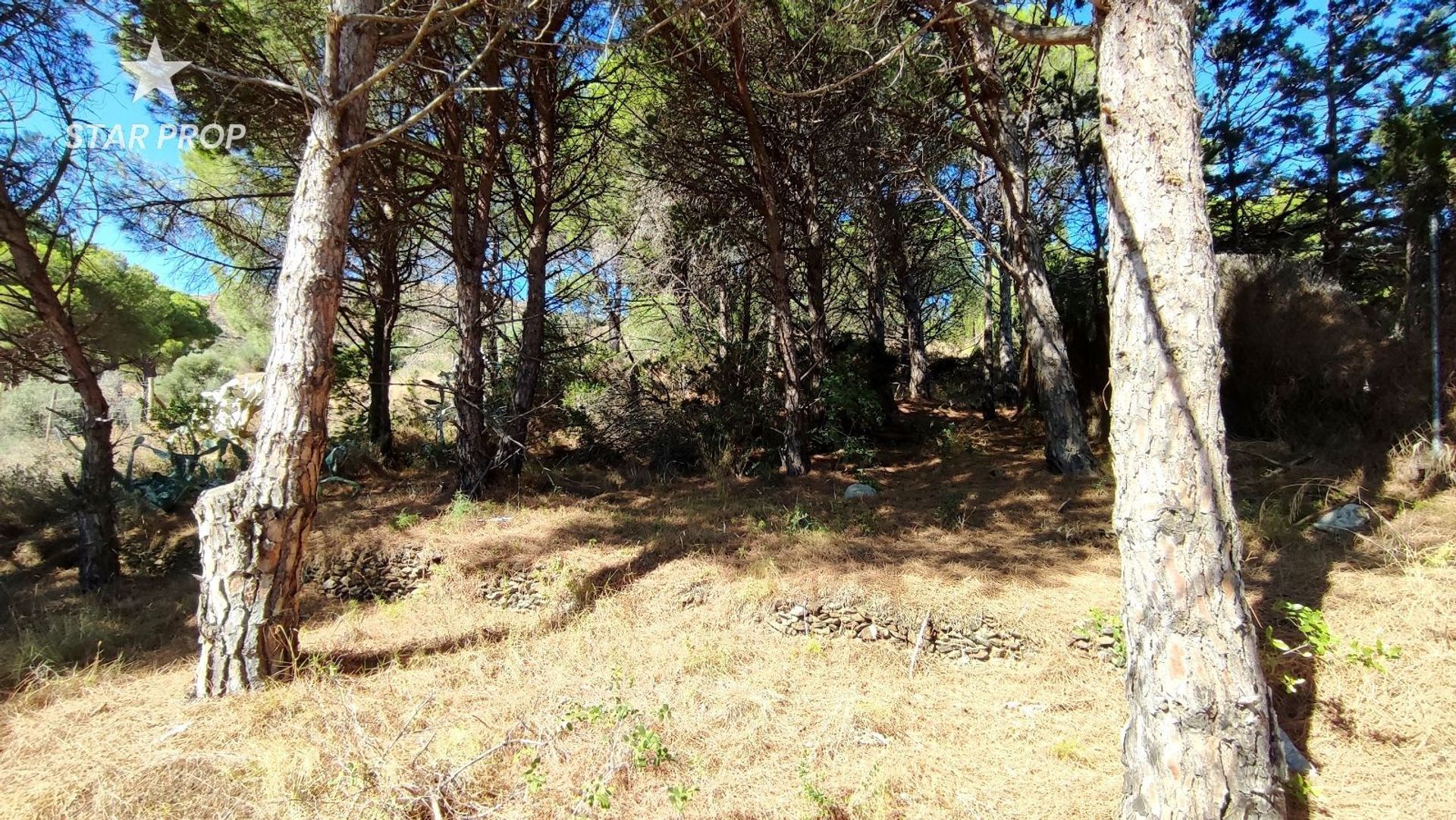 الأرض في El Port de la Selva, Catalunya 10879029