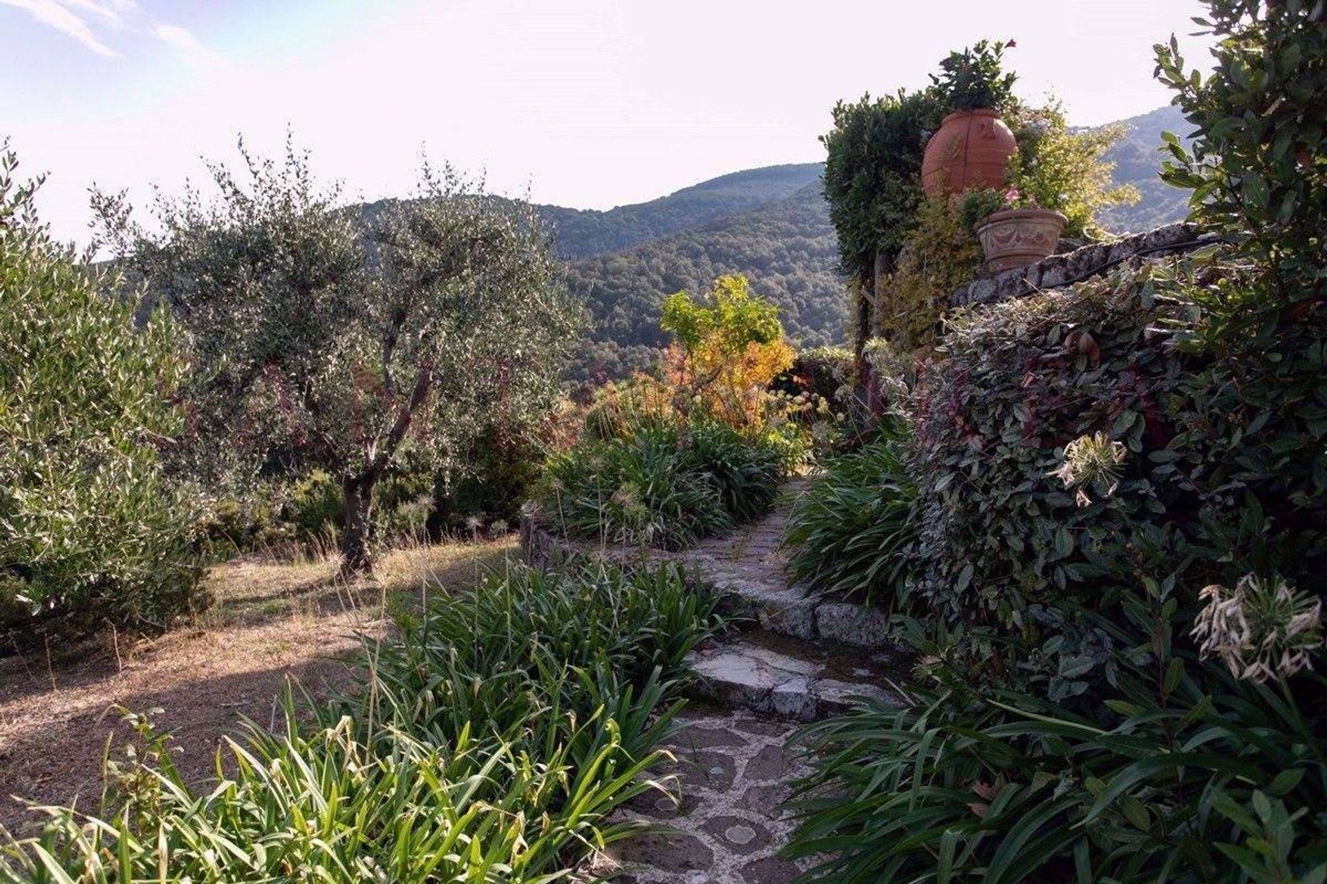 casa en Marciana, Toscana 10879127