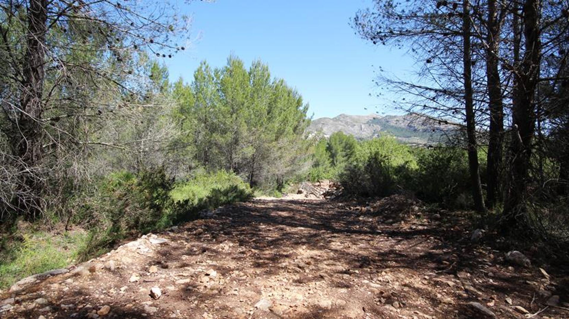 Land in Xaló, Comunidad Valenciana 10879203