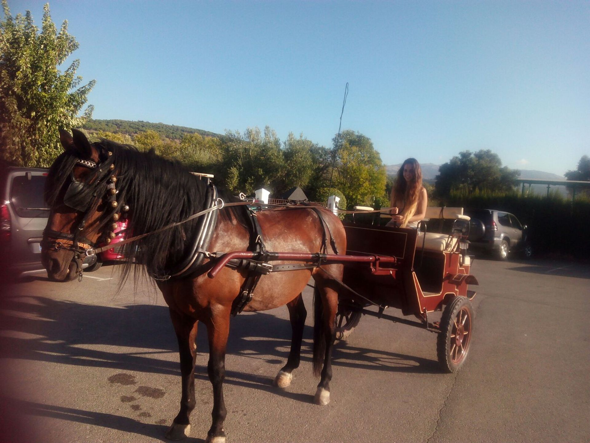 жилой дом в Ronda, Andalucía 10879226