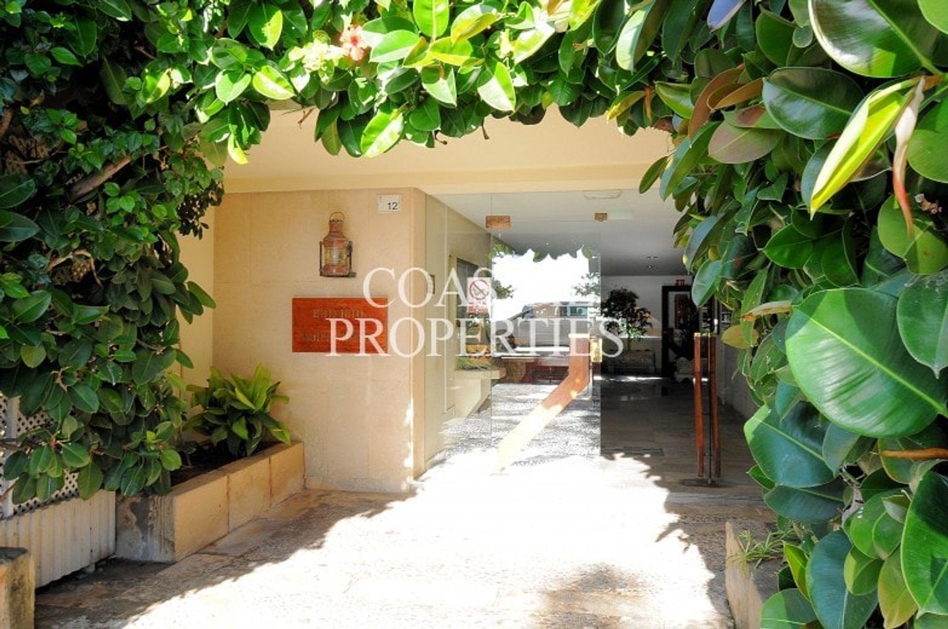 Condominium dans Palma Nova, Balearic Islands 10879634