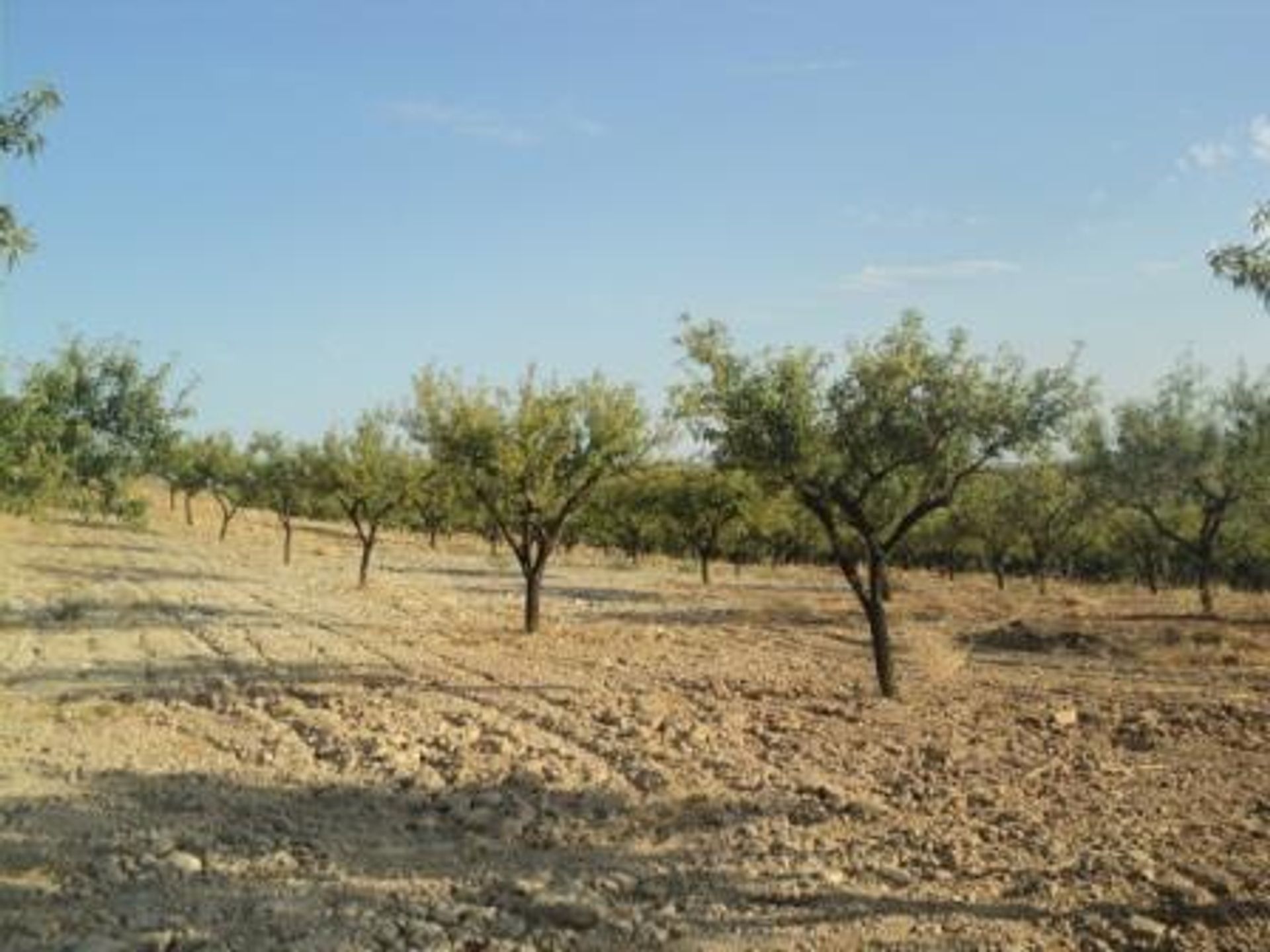 Industrieel in Sorbas, Andalucía 10879945