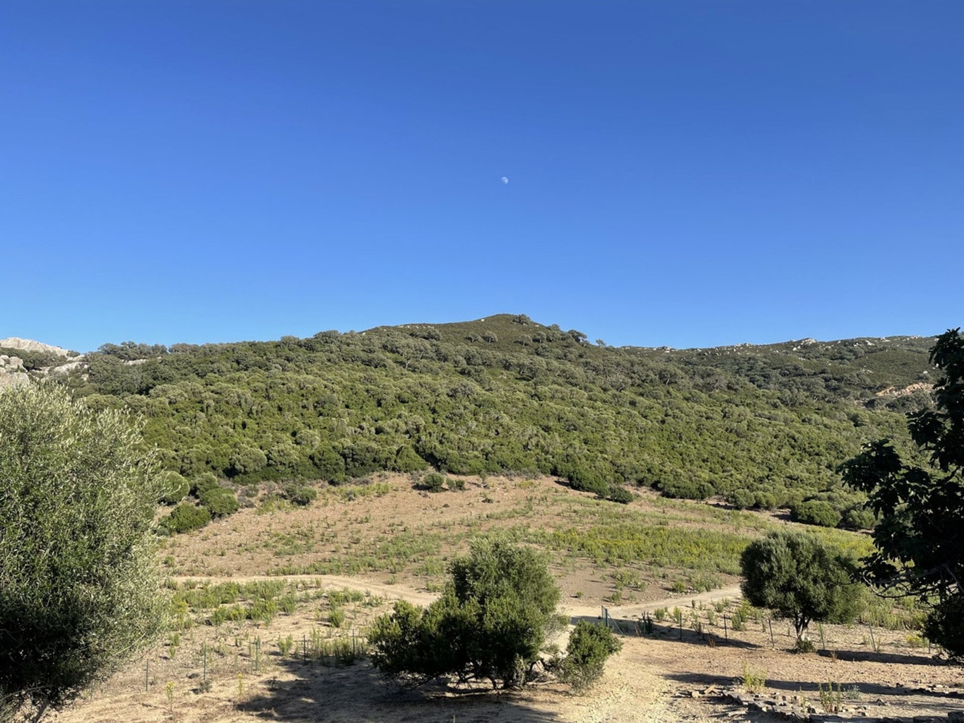 Будинок в Castellar de la Frontera, Andalucía 10880073