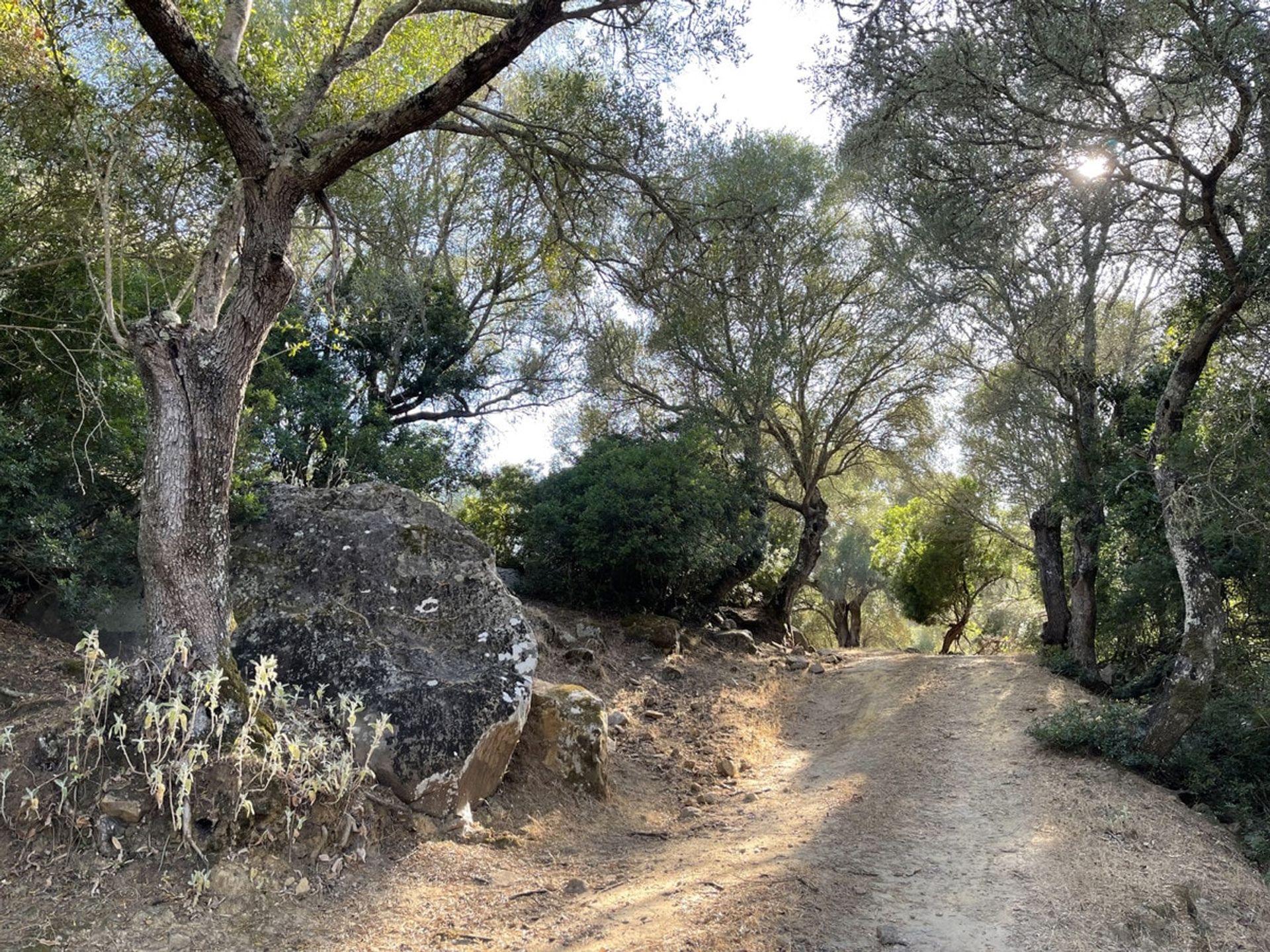 Будинок в Castellar de la Frontera, Andalucía 10880073