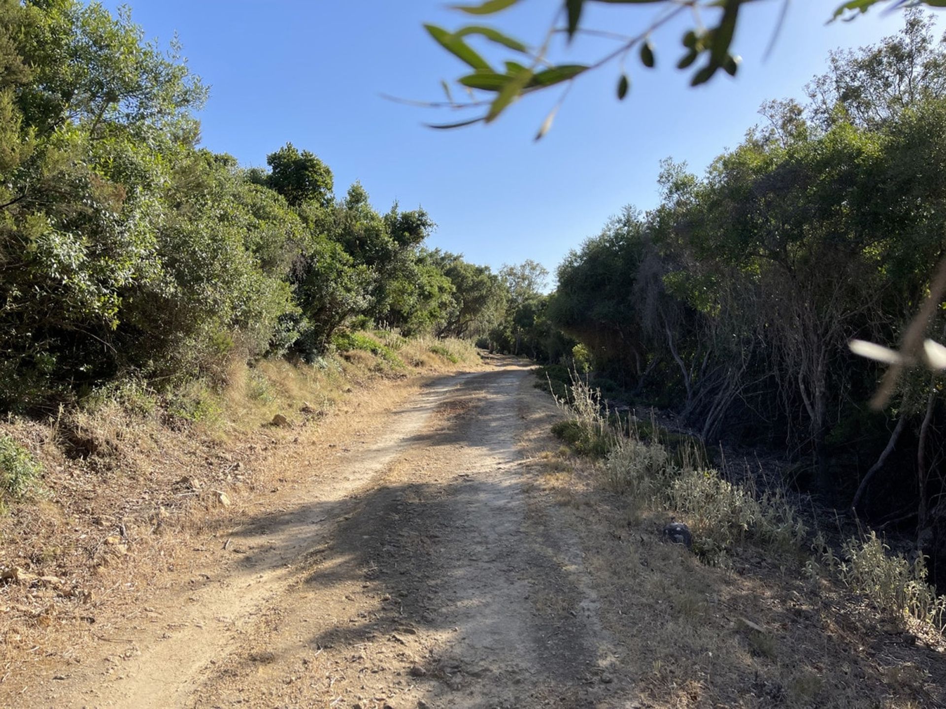 Будинок в Castellar de la Frontera, Andalucía 10880073