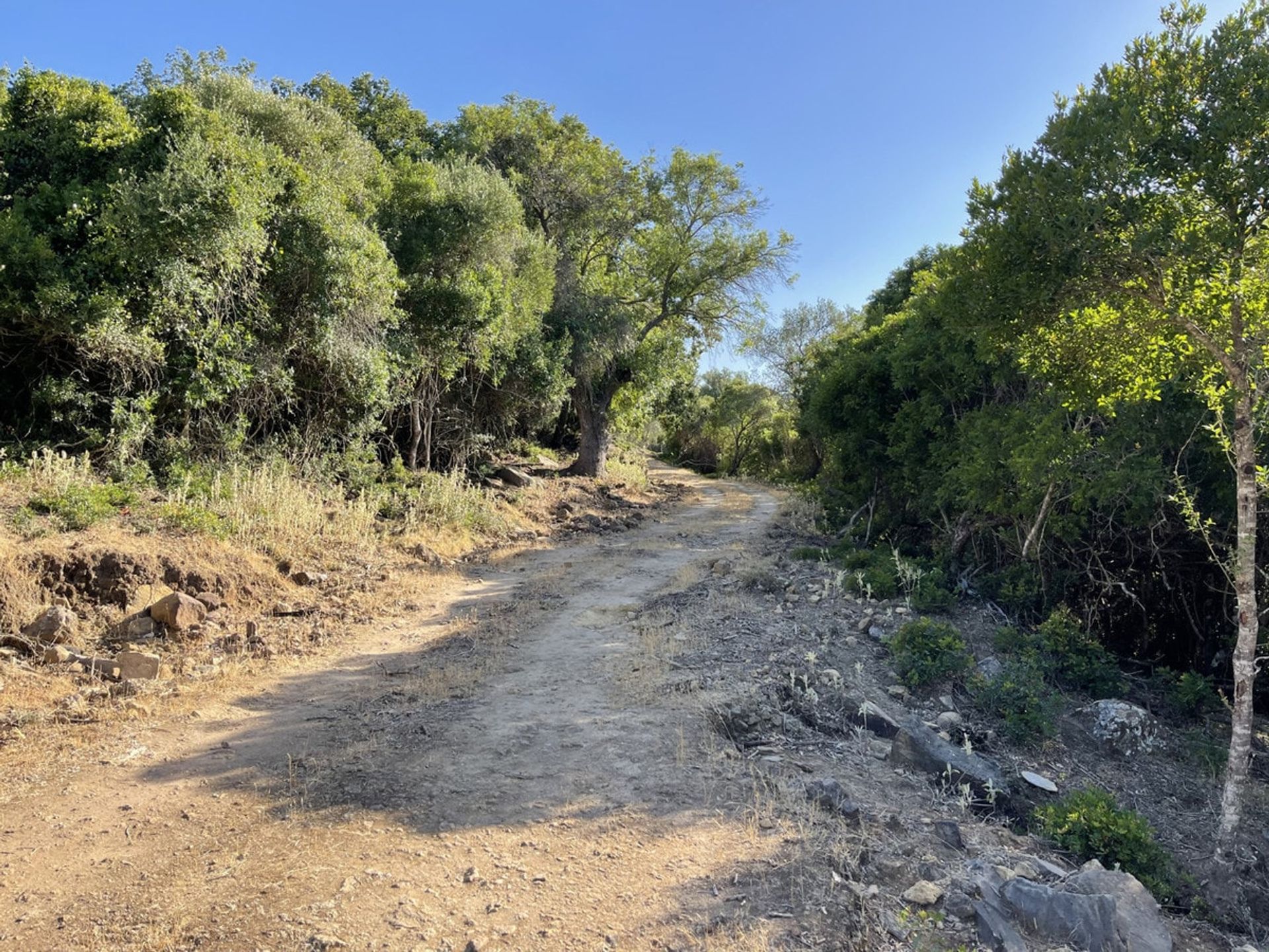 Будинок в Castellar de la Frontera, Andalucía 10880073