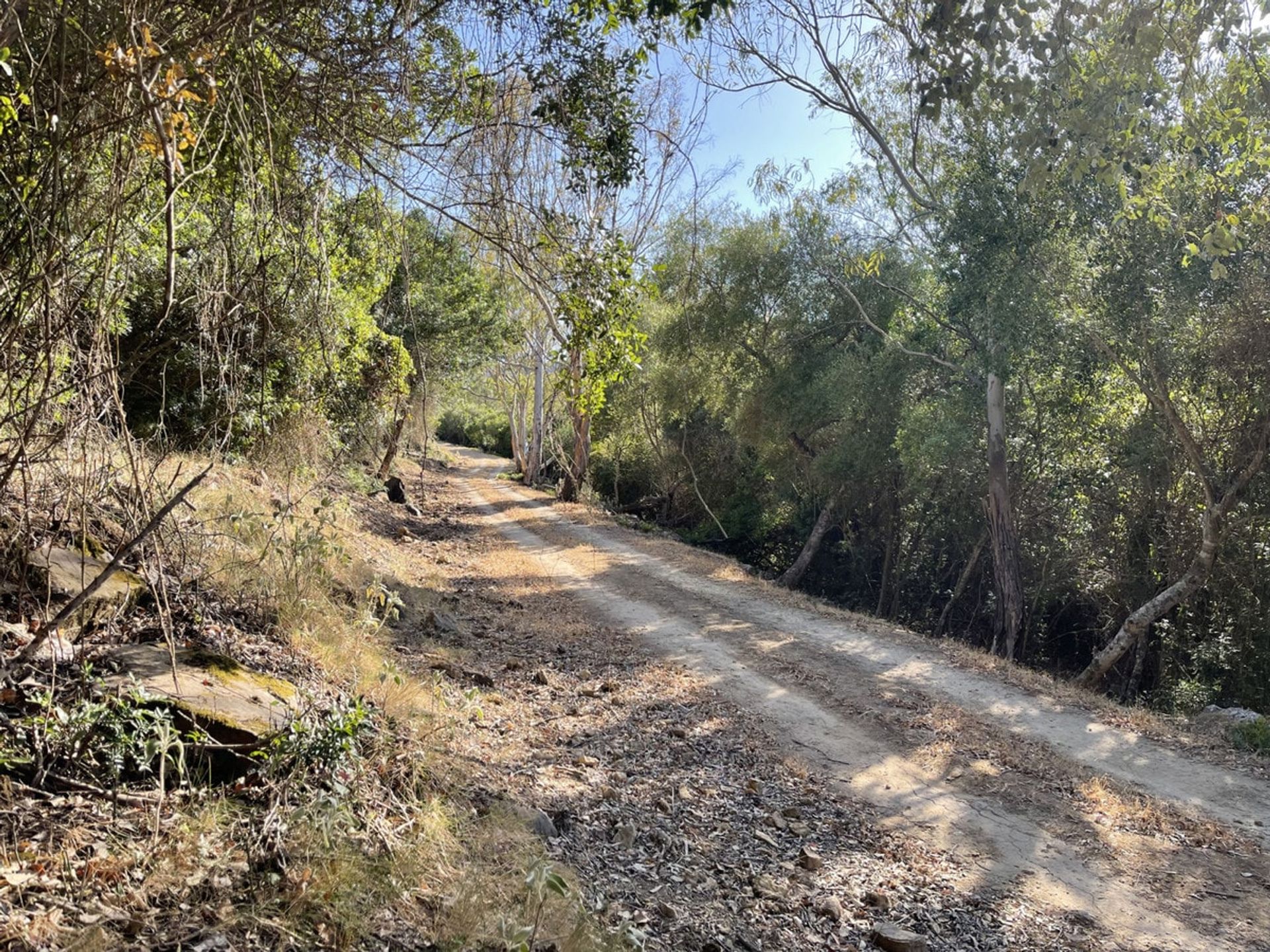 Будинок в Castellar de la Frontera, Andalucía 10880073