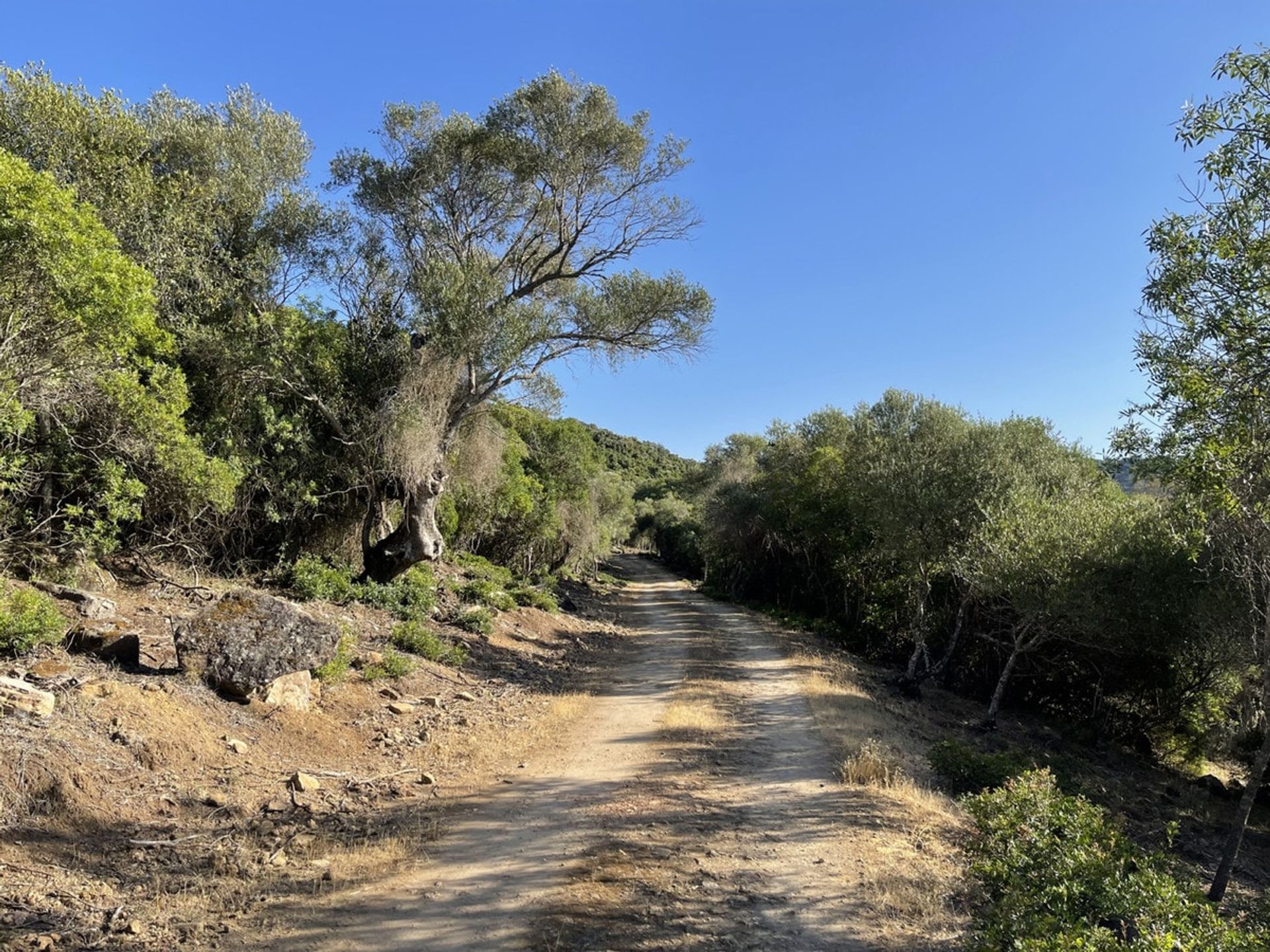 Будинок в Castellar de la Frontera, Andalucía 10880073