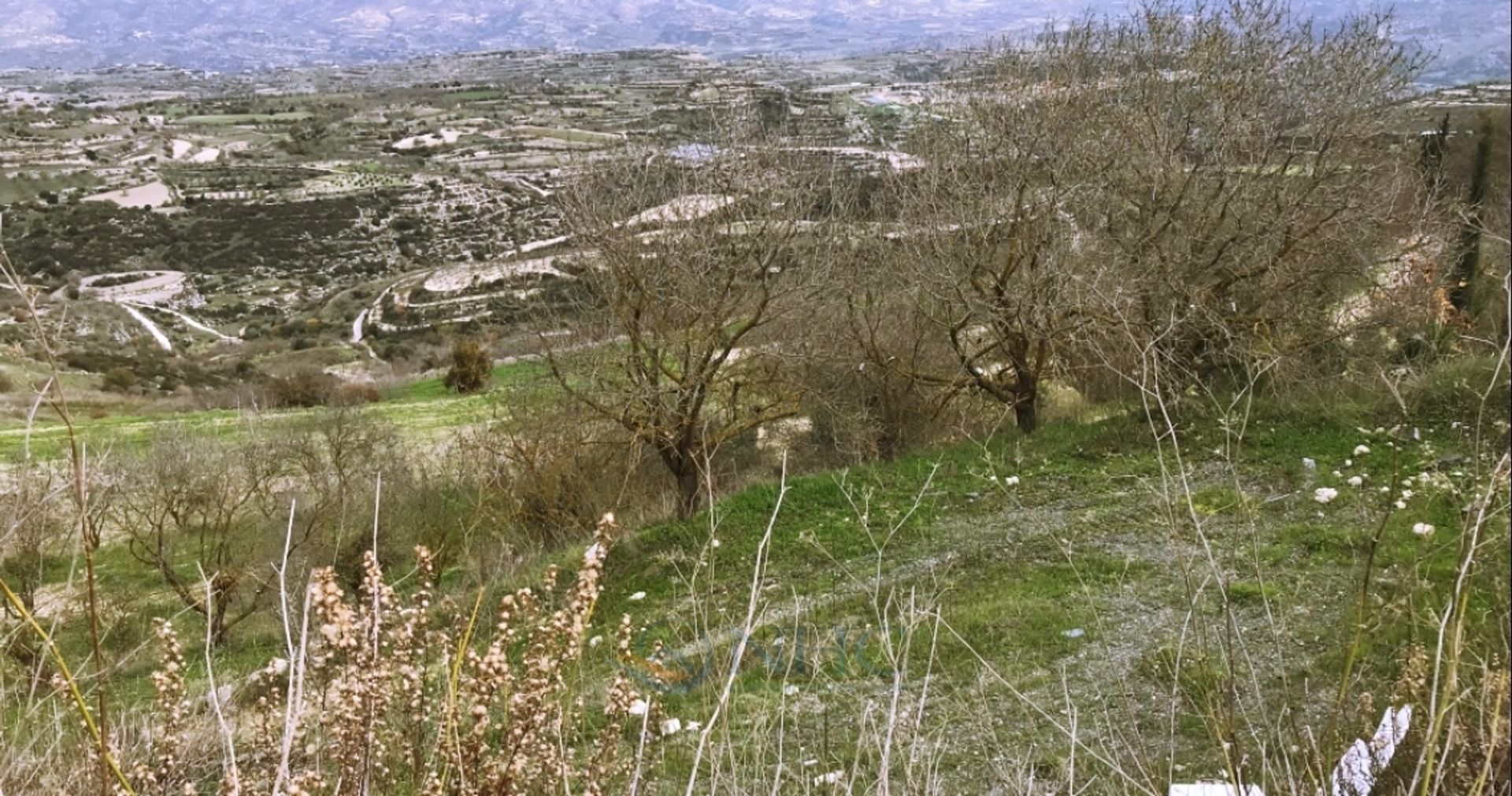 Land im Mesogi, Pafos 10880261