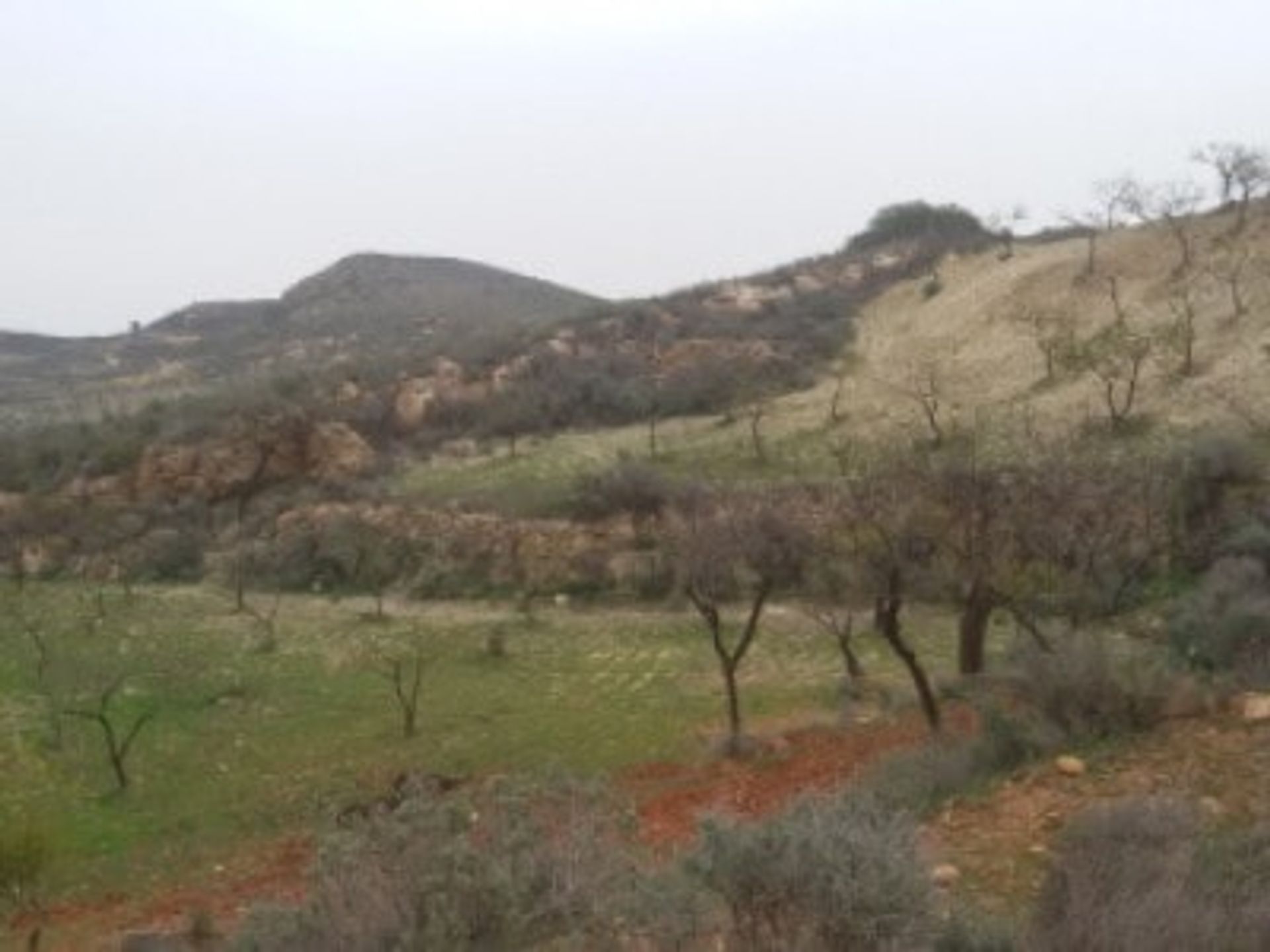 Land in Bedar, Andalusia 10880274