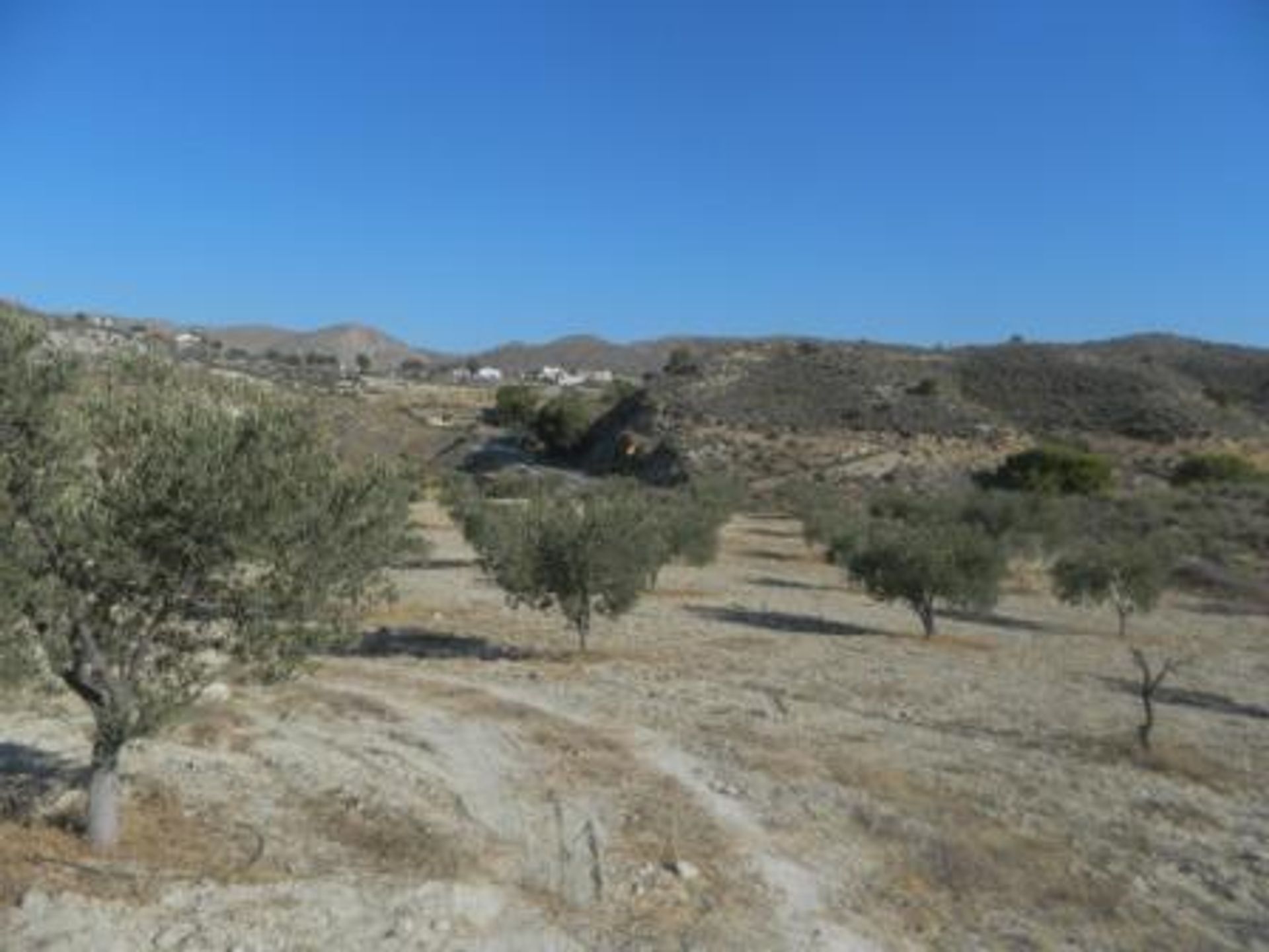 Land i Sorbas, Andalusia 10880282