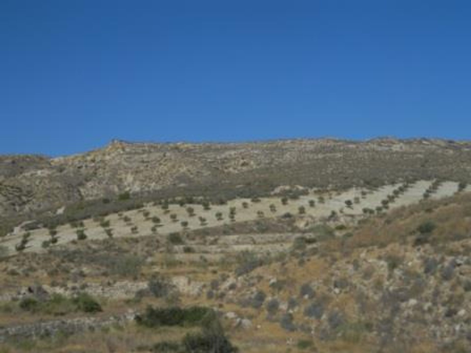 Земля в Сорбас, Андалусія 10880282