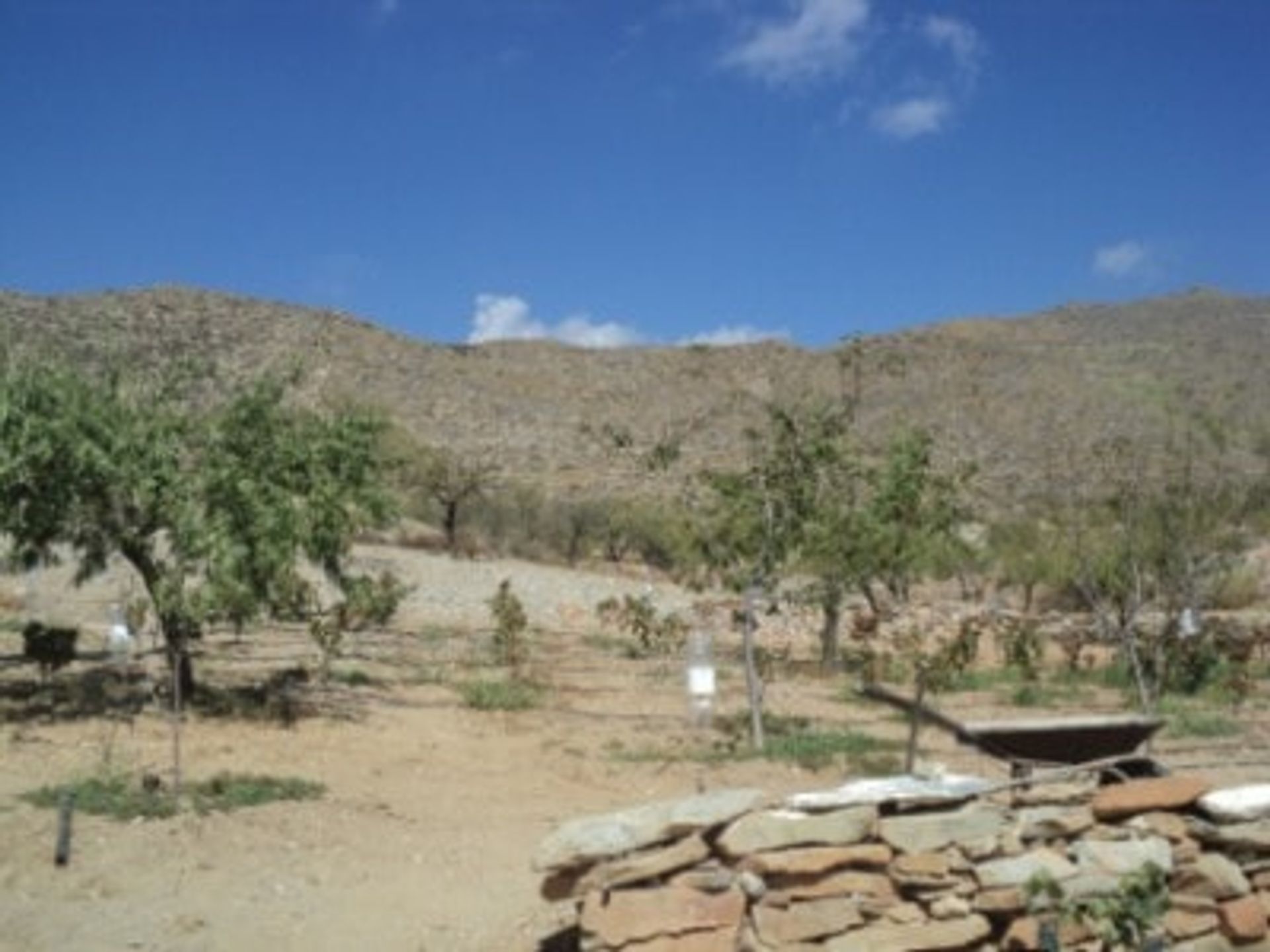 loger dans Uleila del Campo, Andalucía 10880284