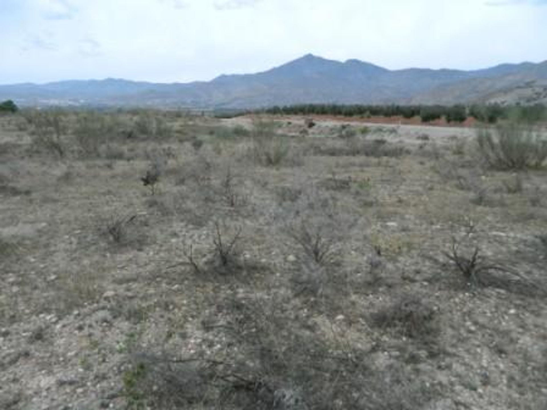 Terre dans Uleila del Campo, Andalousie 10880334