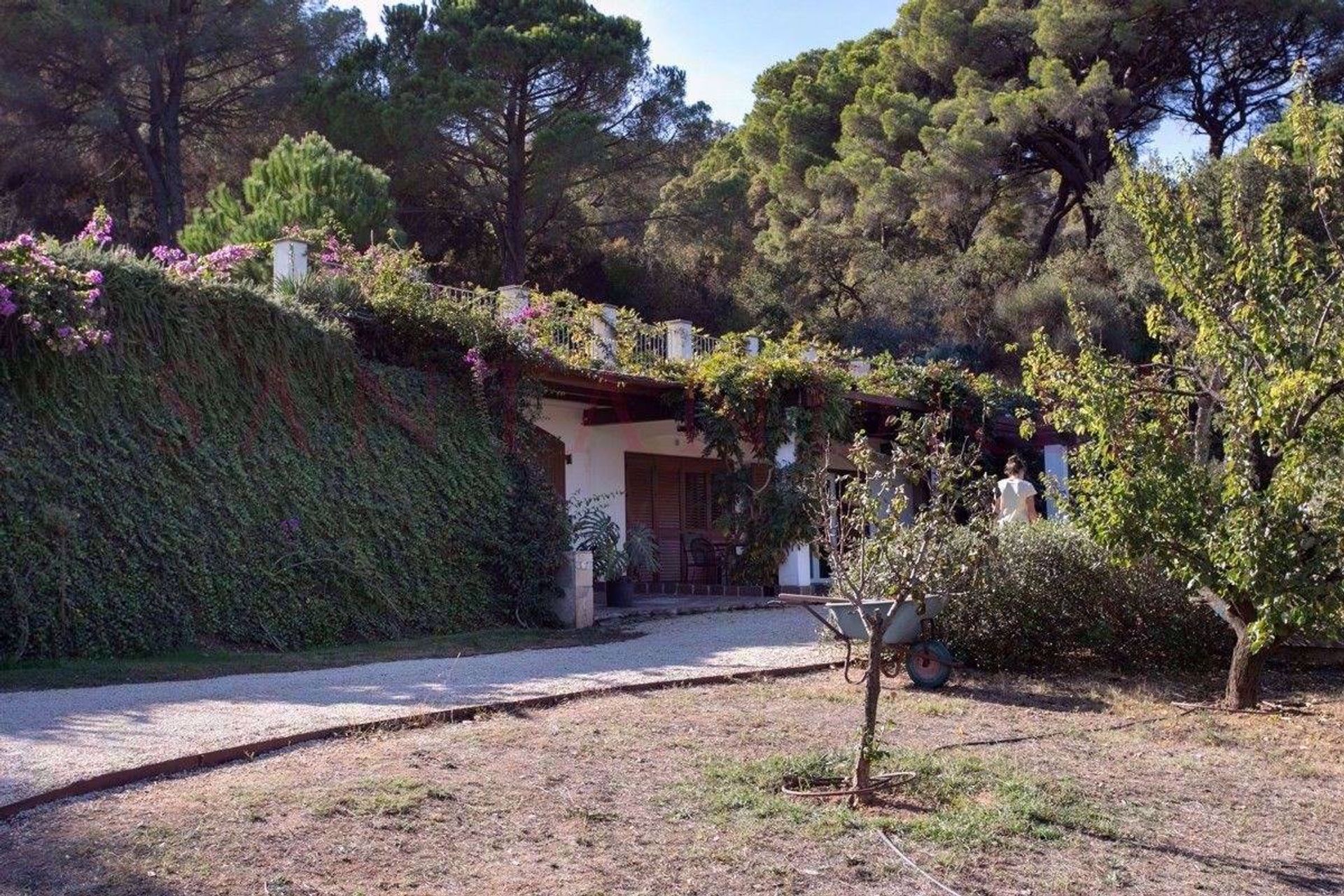 casa no Porto Azzurro, Toscana 10880750