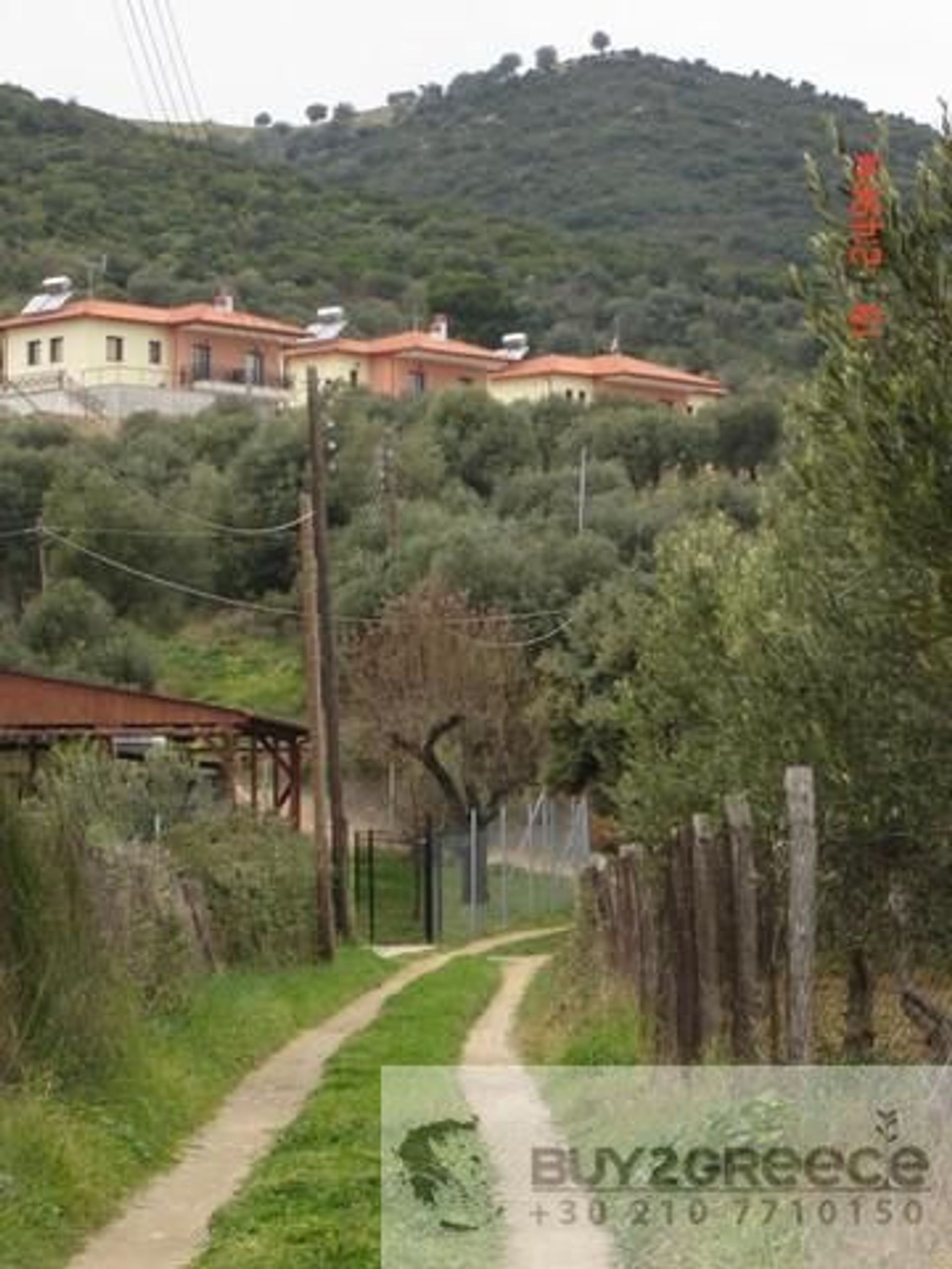 Συγκυριαρχία σε Πιτσιώτα, Στερεά Ελλάδα 10880875