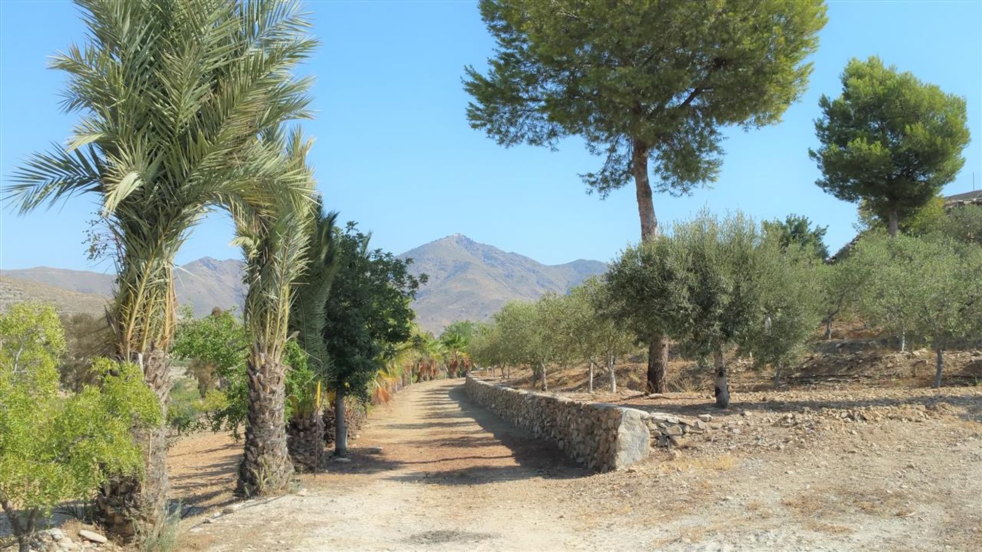 Hus i Sorbas, Andalucía 10881387