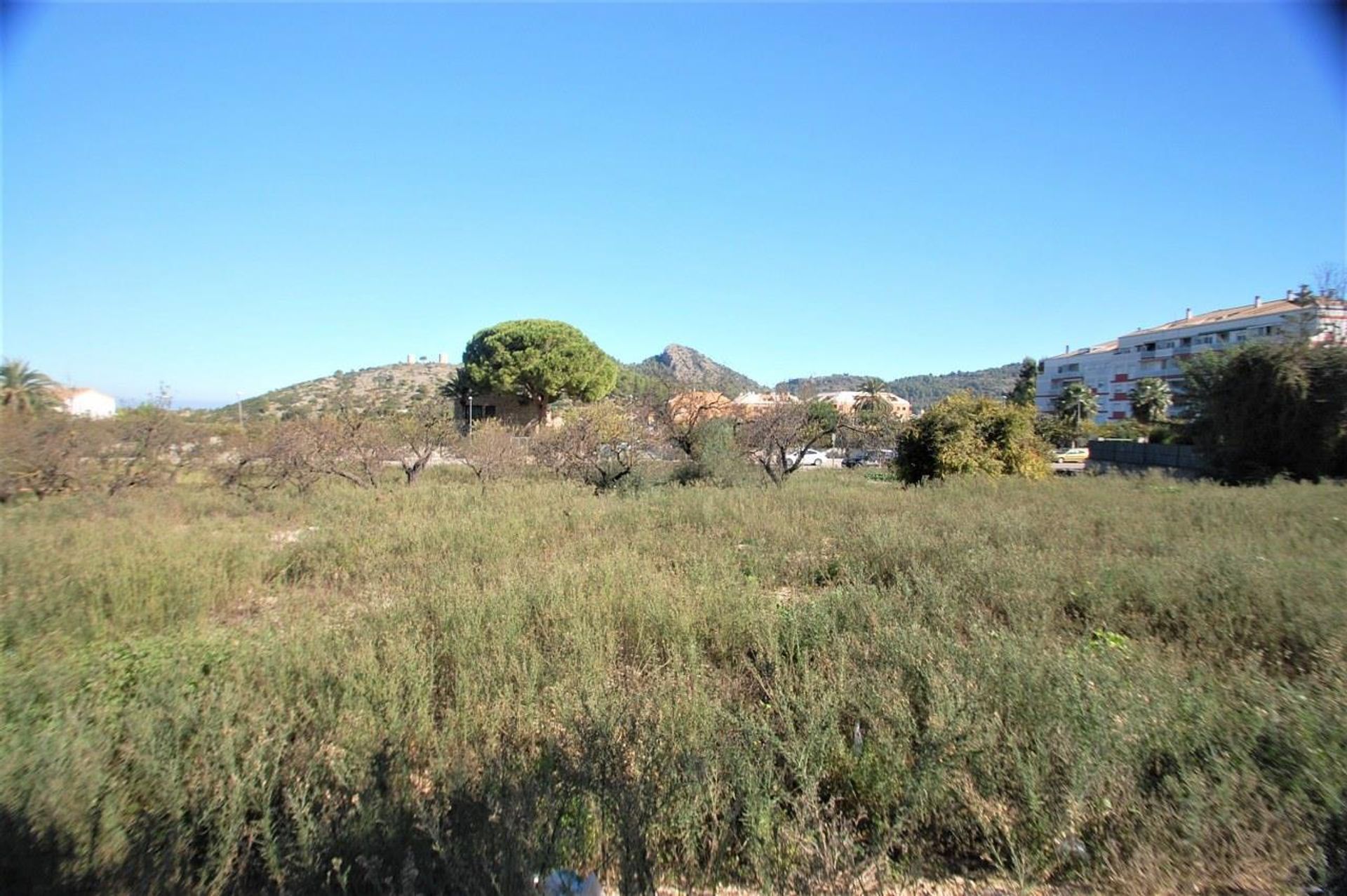 Land in Pedreguer, Comunidad Valenciana 10881470