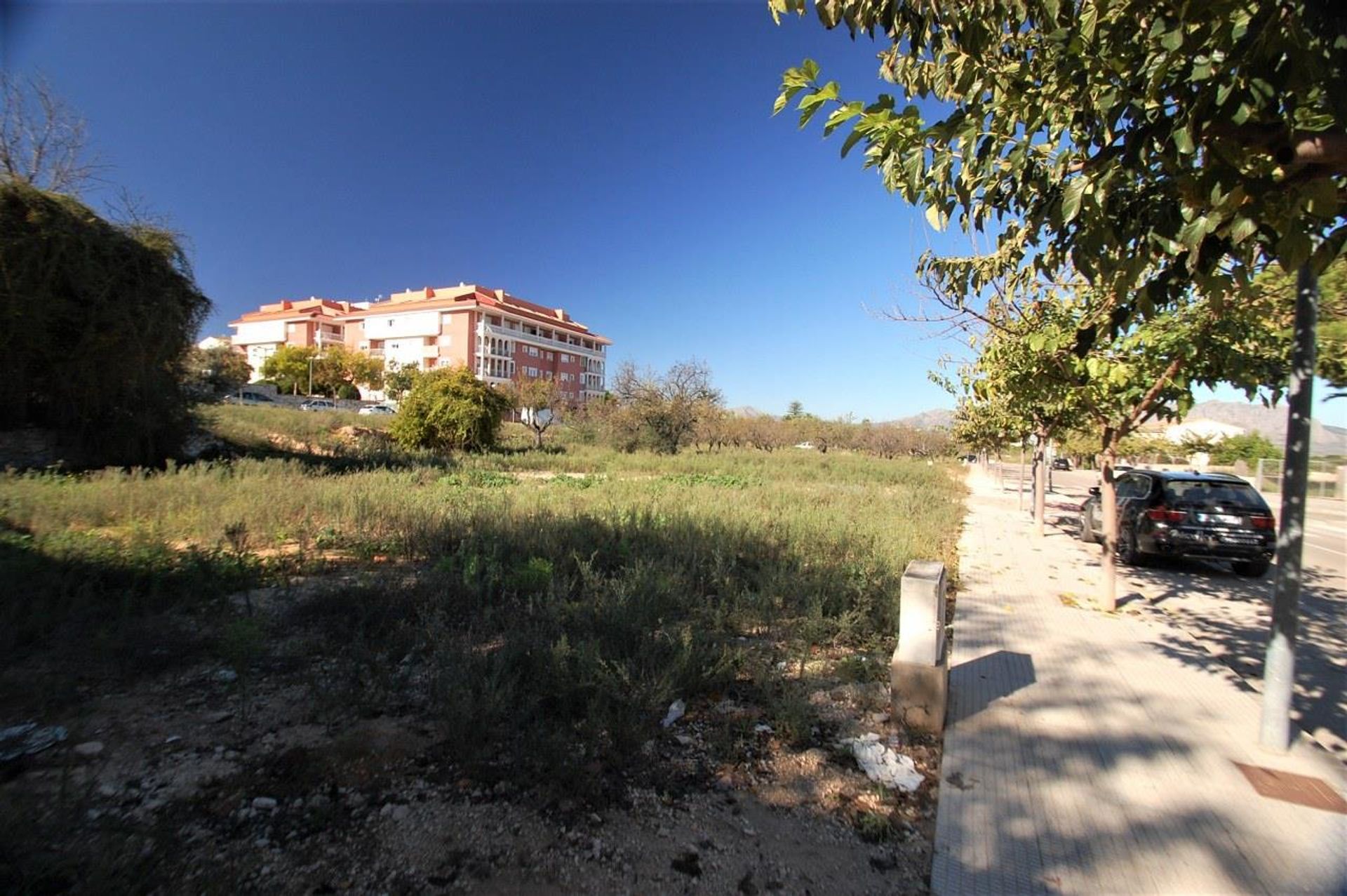 Land in Pedreguer, Comunidad Valenciana 10881470