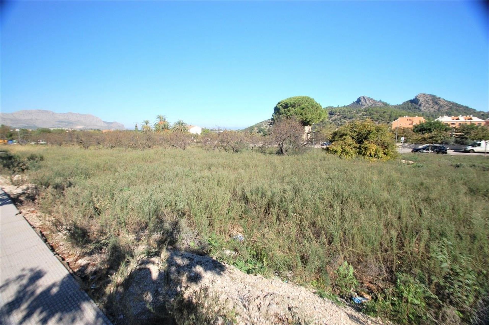 Land in Pedreguer, Valencia 10881470