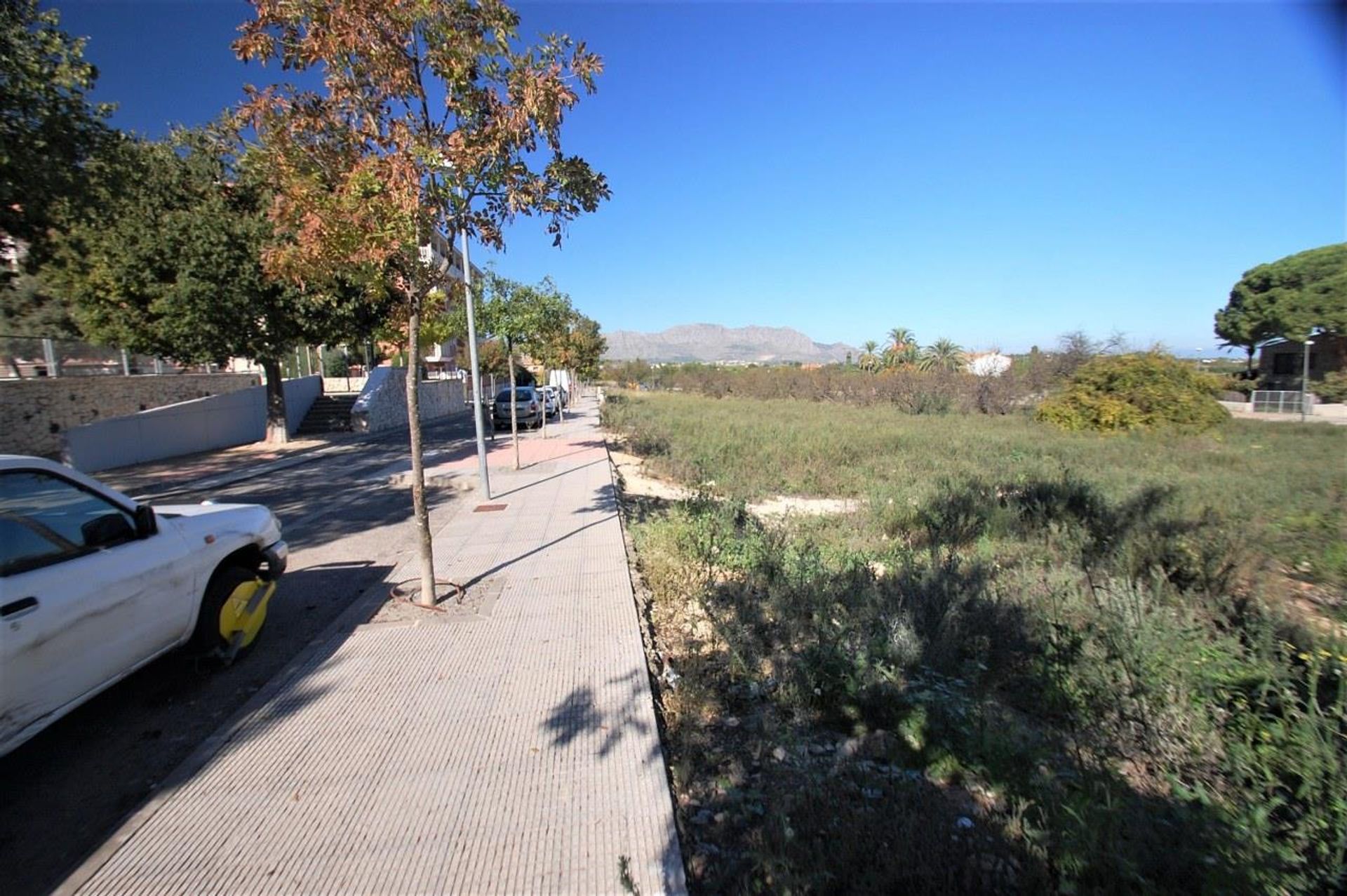 Land in Pedreguer, Comunidad Valenciana 10881470