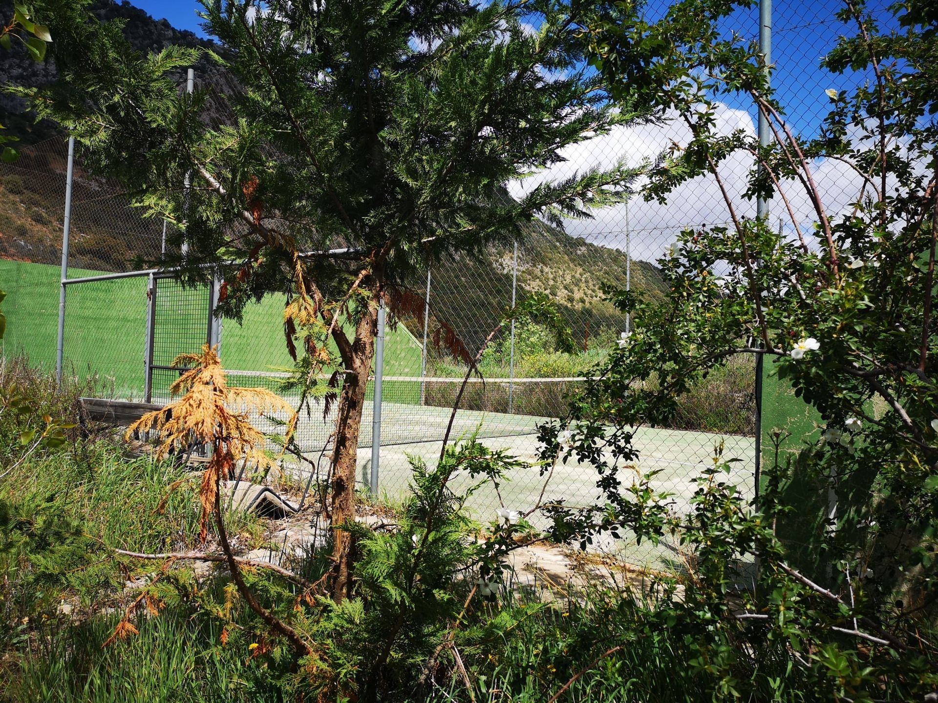 Perindustrian dalam Ronda, Andalucía 10881801