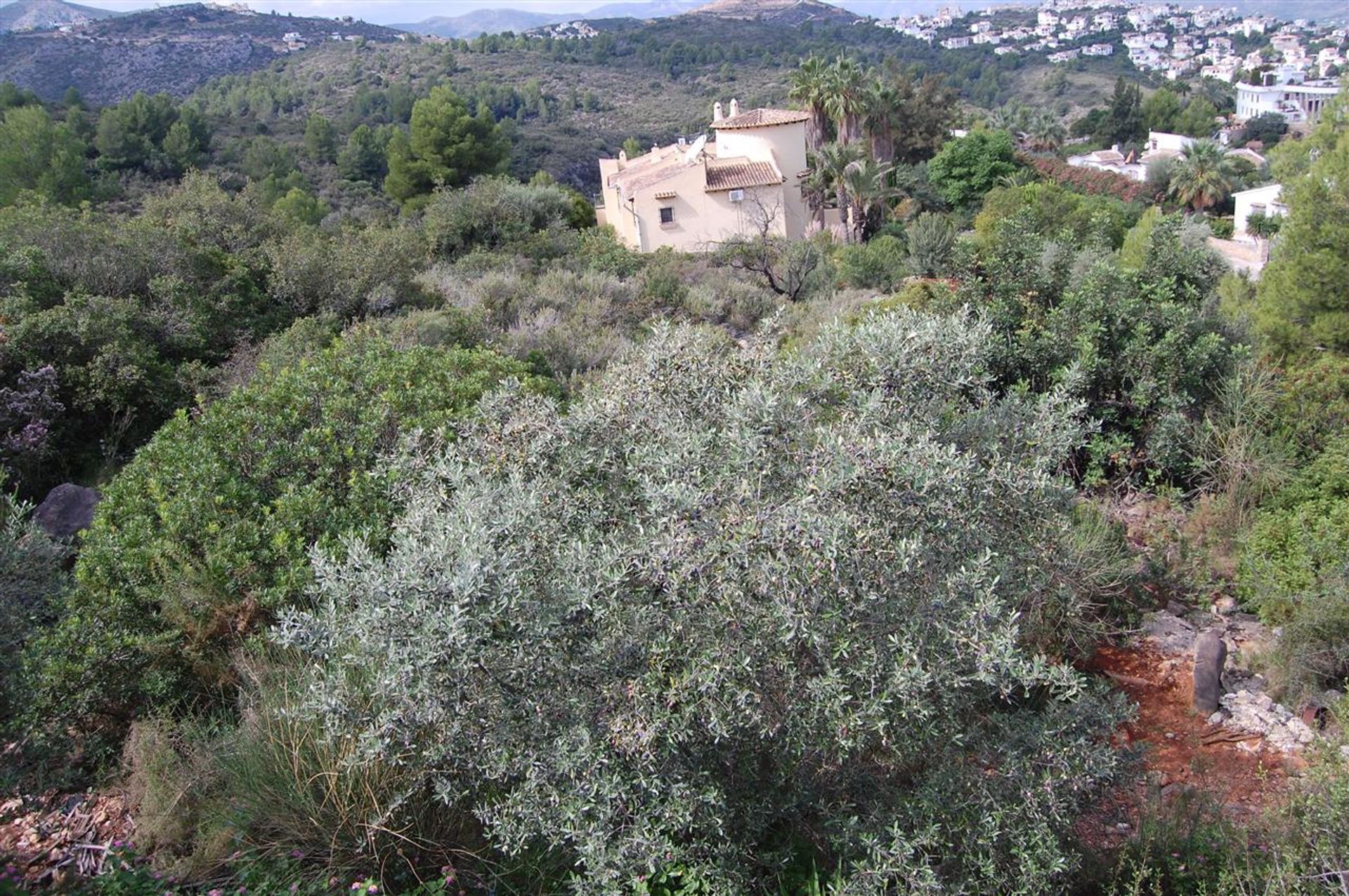 Tierra en Benimelí, Valencia 10881831