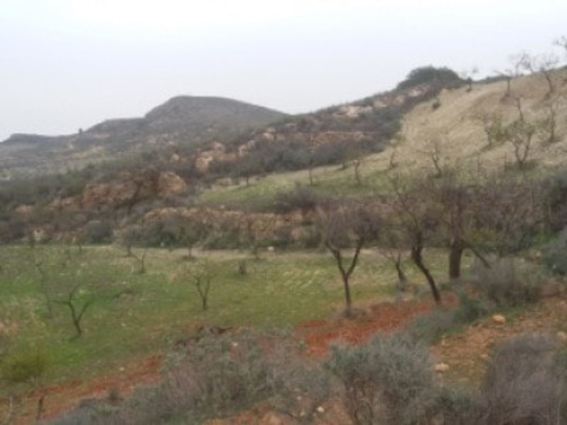 Land in Bedar, Andalusia 10881901