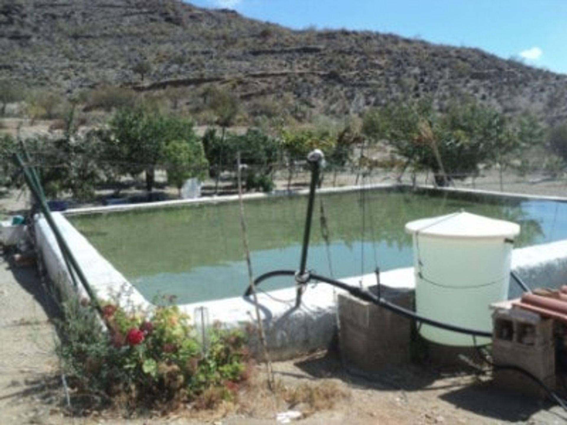 loger dans Uleila del Campo, Andalousie 10881911