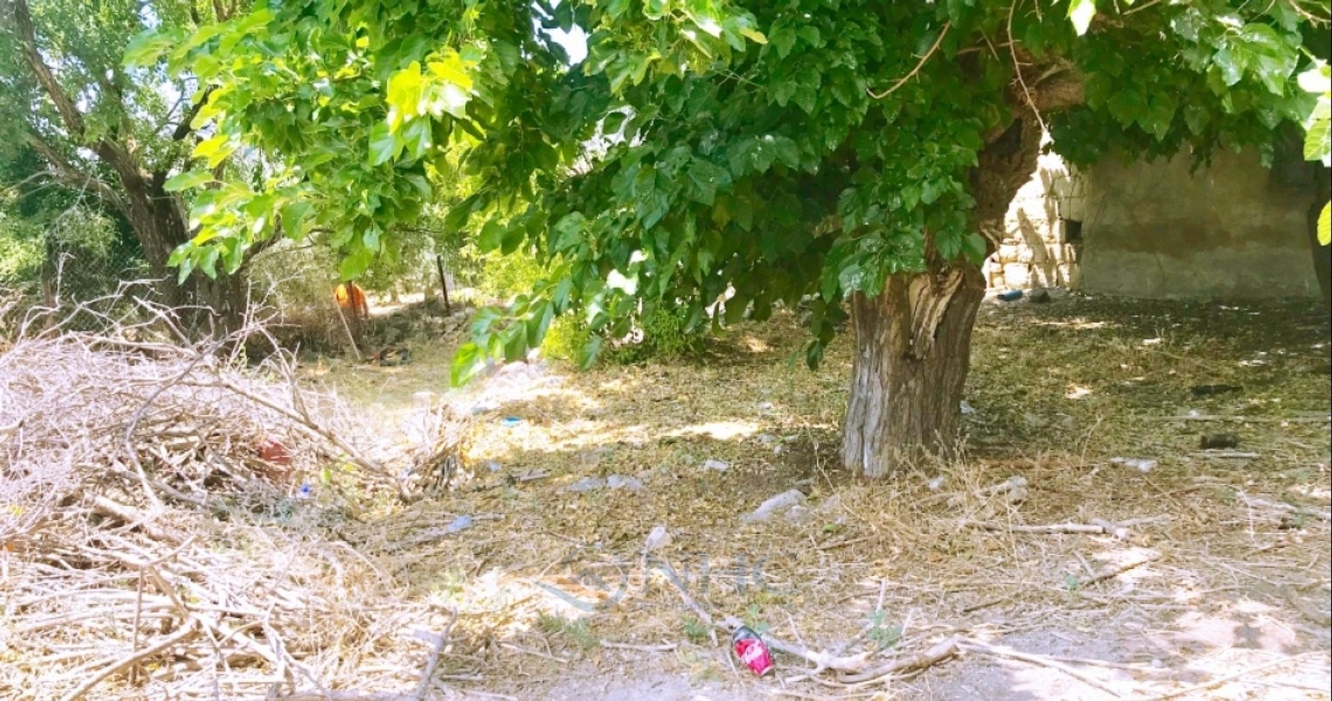 Rumah di Mesa Chorio, Pafos 10881915