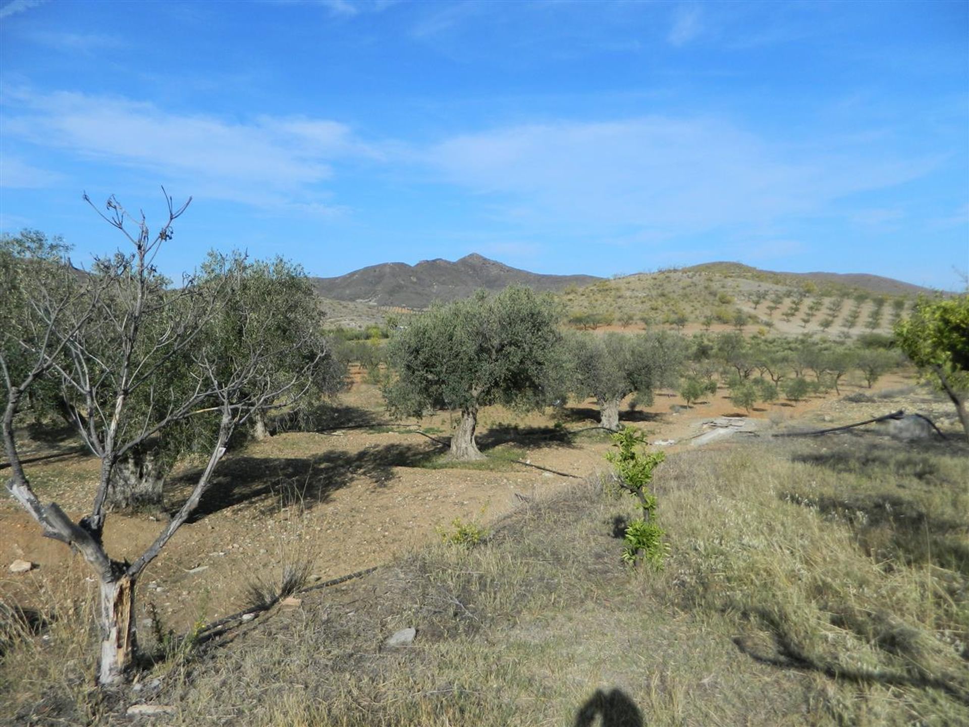 Hus i Sorbas, Andalusia 10881937