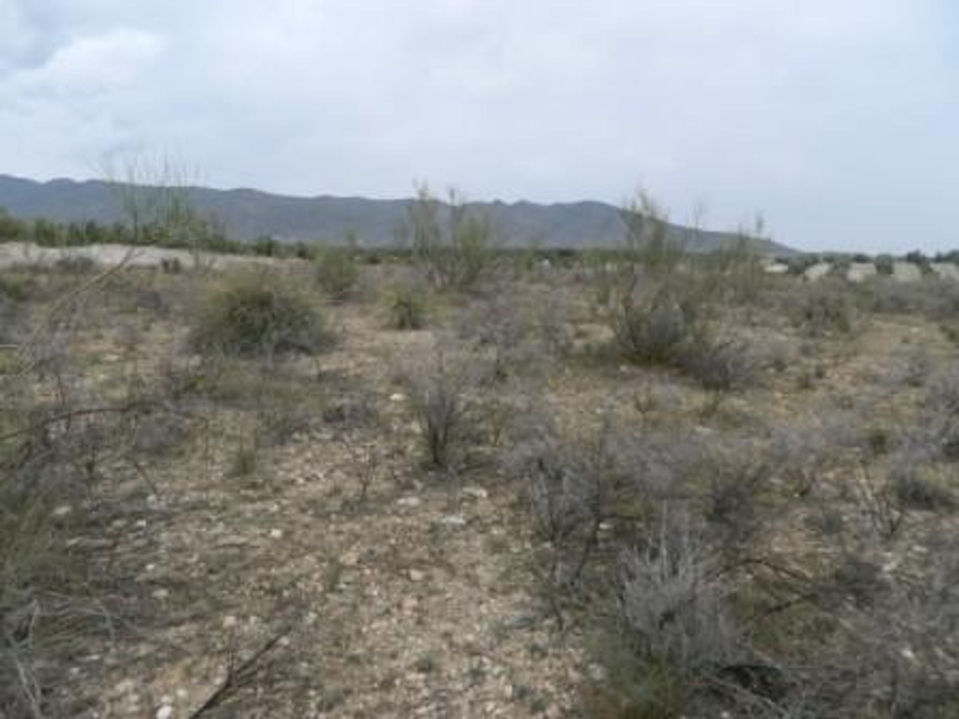 Tierra en Uleila del Campo, Andalucía 10881954