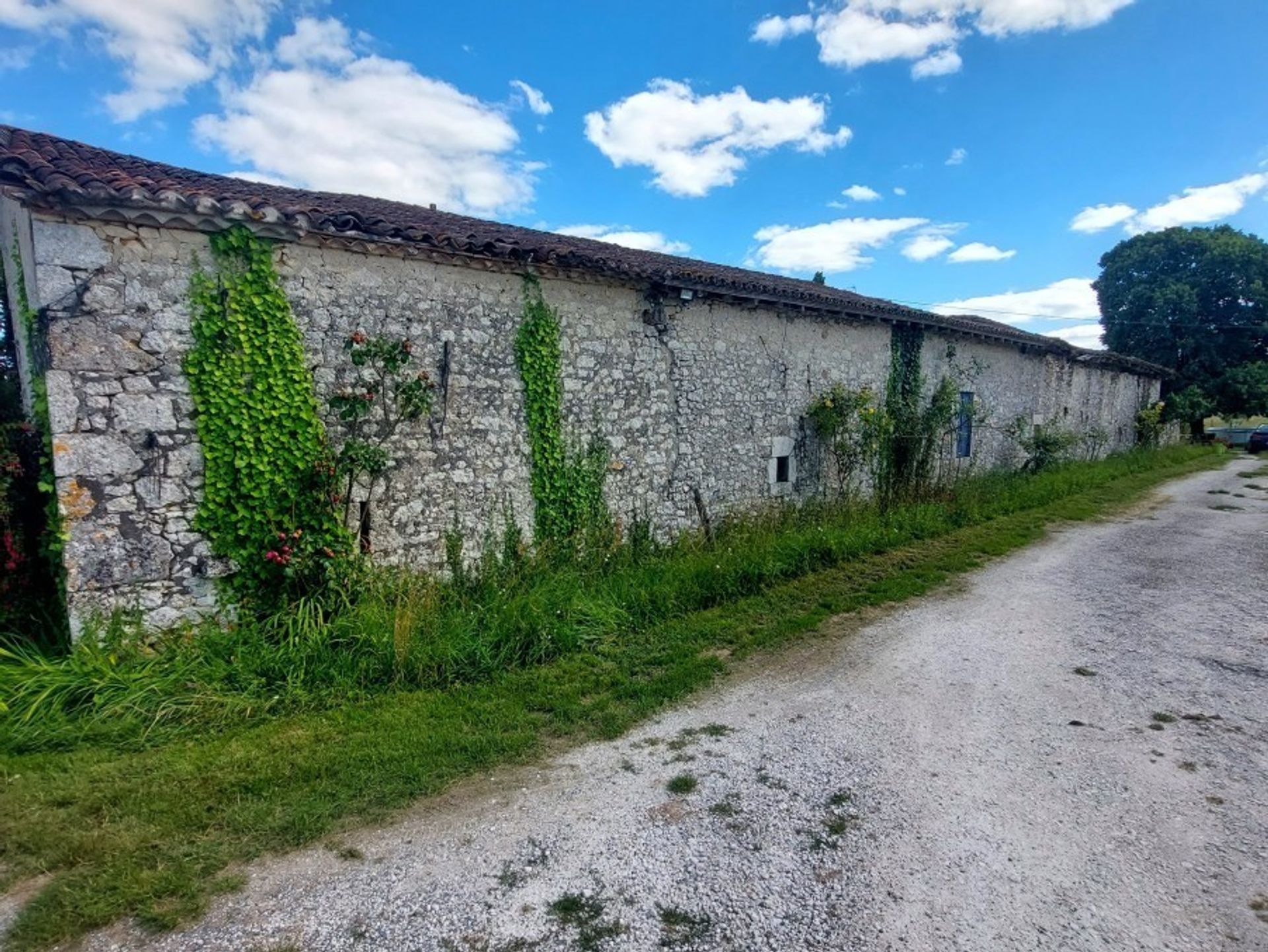 Casa nel Fonroque, Nouvelle-Aquitaine 10882010